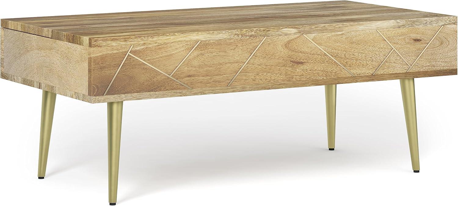 Simpli Home Jager 48"W Solid Mango Wood Contemporary Modern Lift Top Coffee Table with Hidden Storage and Geometric Brass Inlay