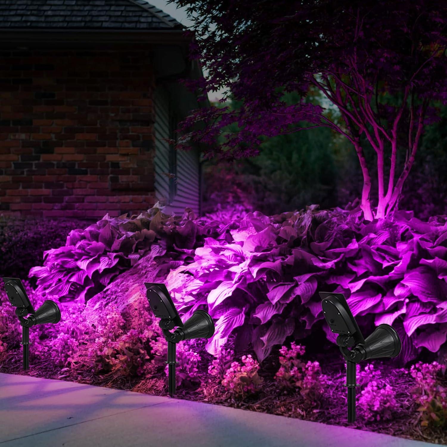 T-SUN Solar LED Spot Light Spotlight Waterproof IP65 Auto on/off Outdoor Garden Landscape Lamp (2pack,Purple)