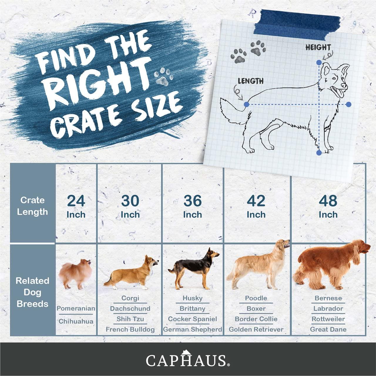 CAPHAUS Tucker Murphy Pet™ Foldable Dog Crate, Wire Metal Dog Kennel w/Leak-Proof Pan