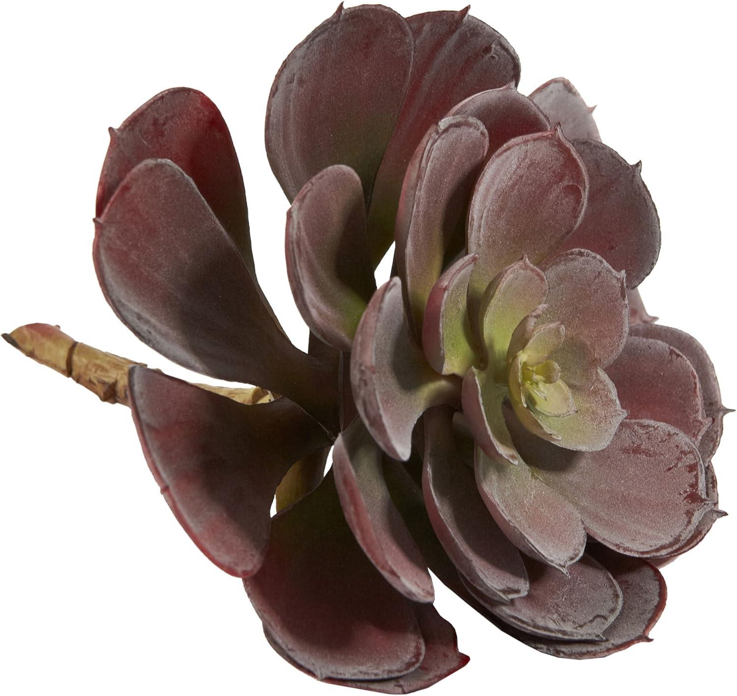 Nearly Natural 6 Echeveria Succulent - Set of 12 Burgundy