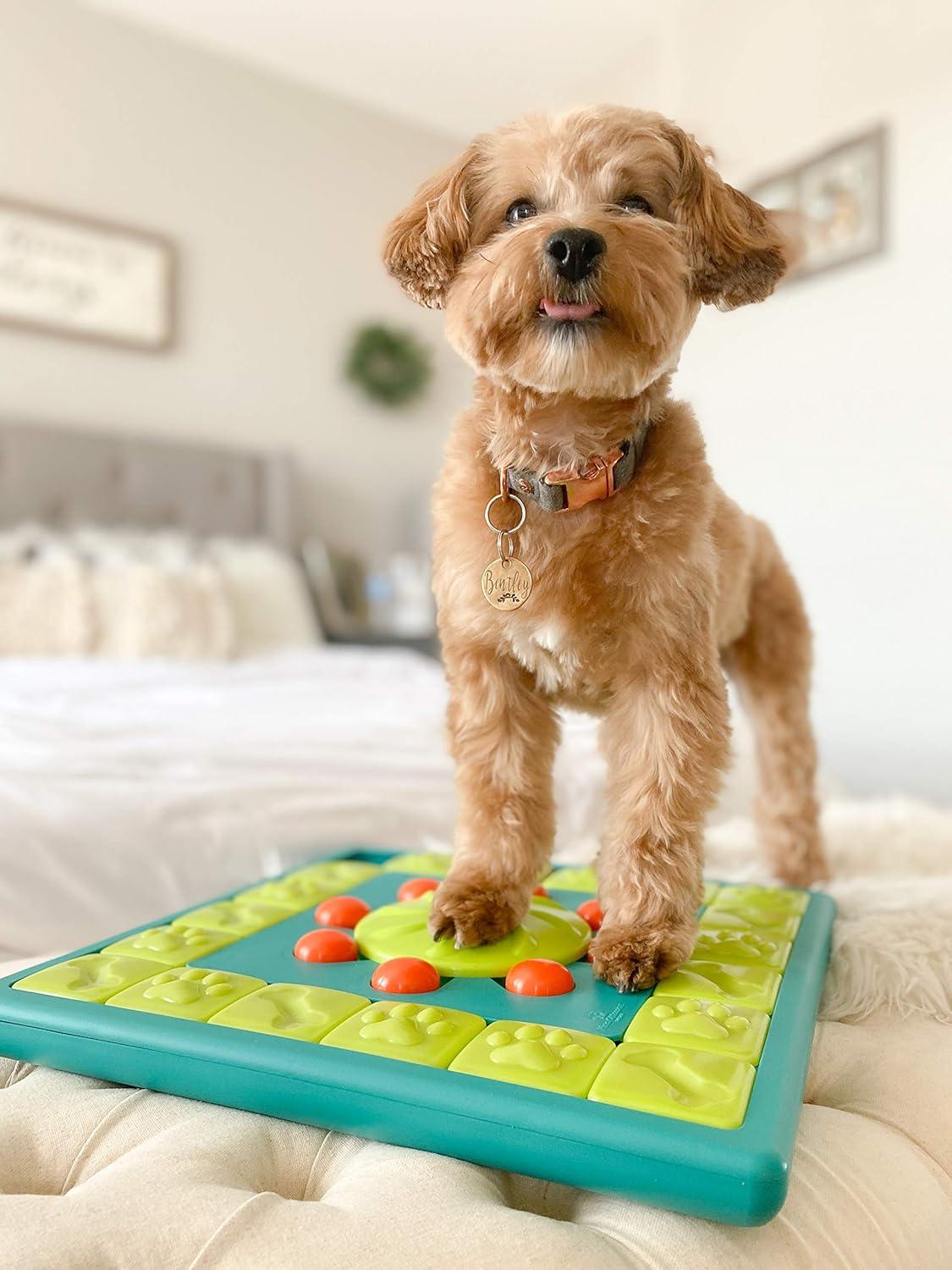 Interactive Green and Blue Multipuzzle Dog Treat Dispenser