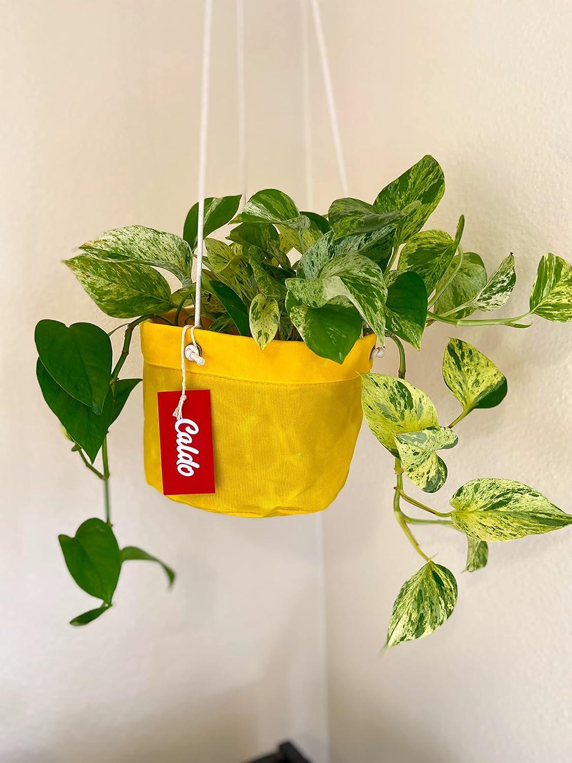 Caldo Two Plant Hangers - Perfect for Indoor or Outdoor Decoration (Yellow)