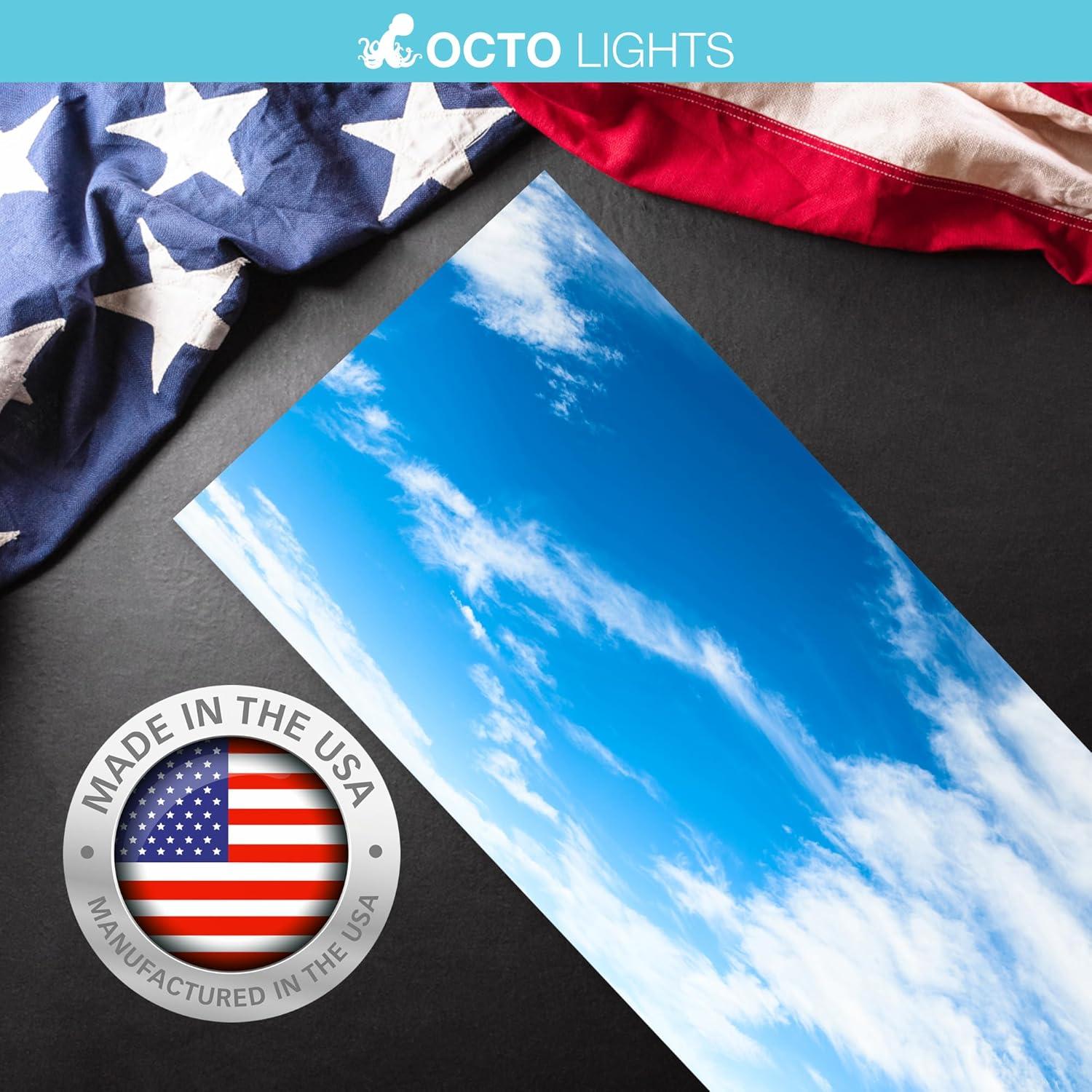 OCTO LIGHTS Magnetic Fluorescent Light Covers for Ceiling Lights Classroom 2x4 - Magnetic Classroom Light Filters - Improve Focus, Eliminate Headaches & Eyestrain CLD-010