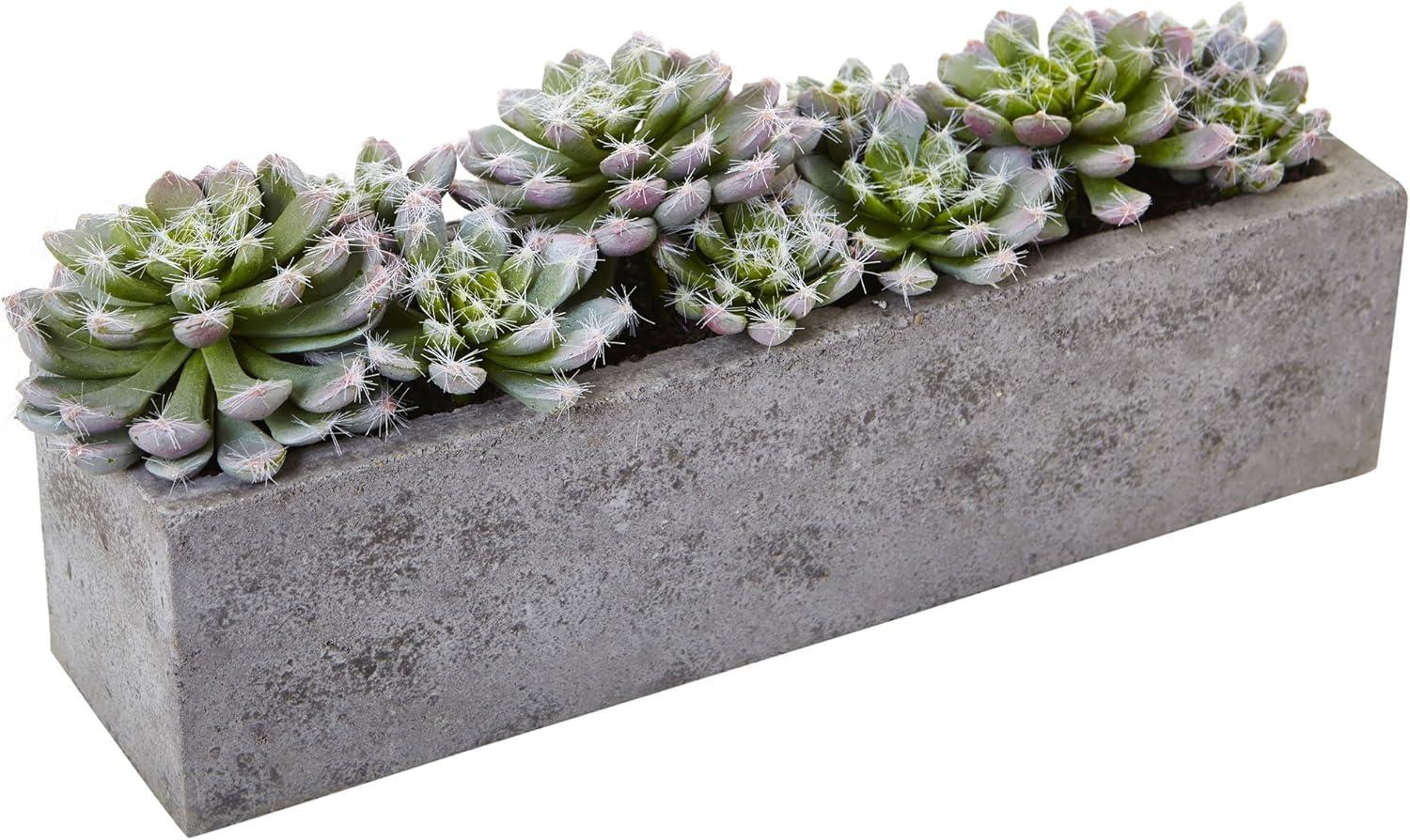 Succulent Garden With Textured Concrete Planter