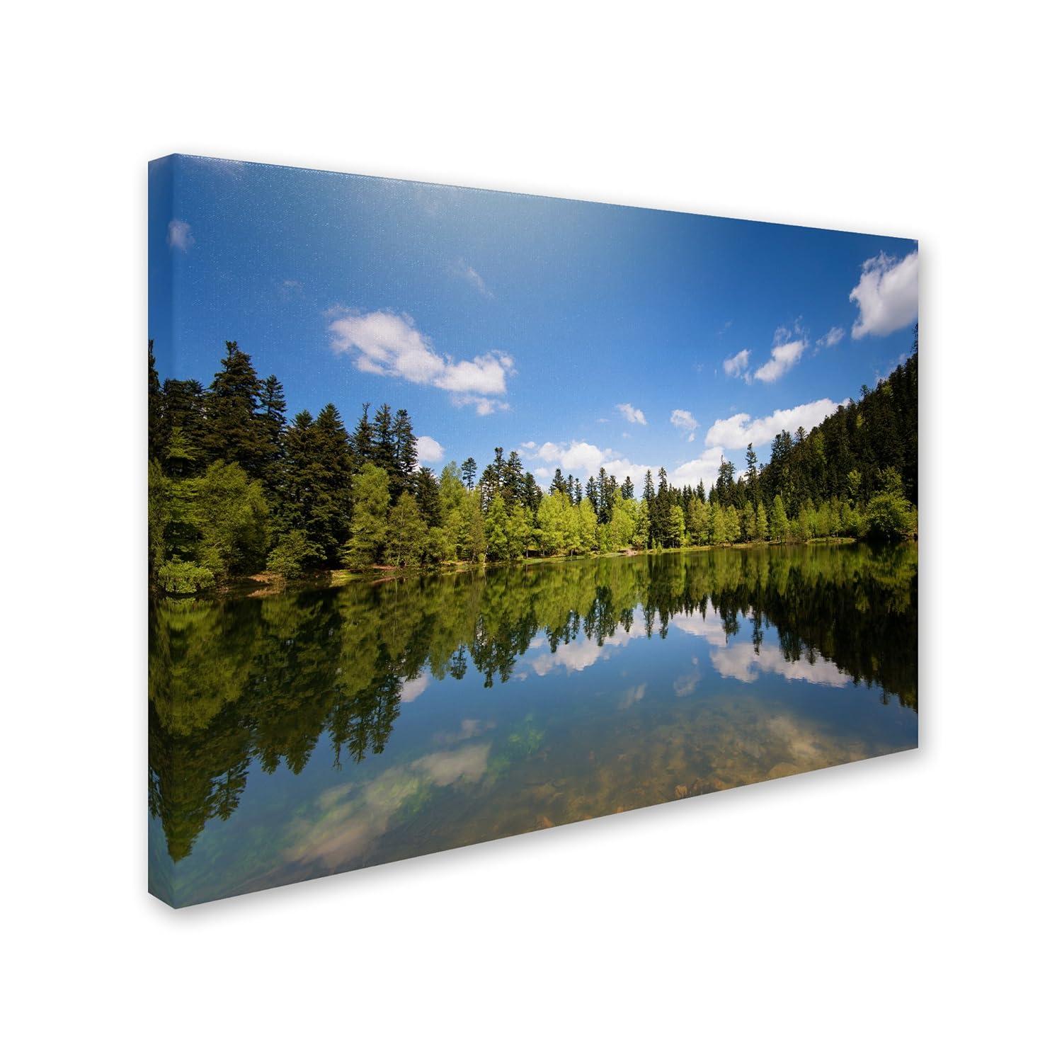 Trademark Fine Art "Lake Maix" by Philippe Sainte-Laudy Photographic Print on Wrapped Canvas
