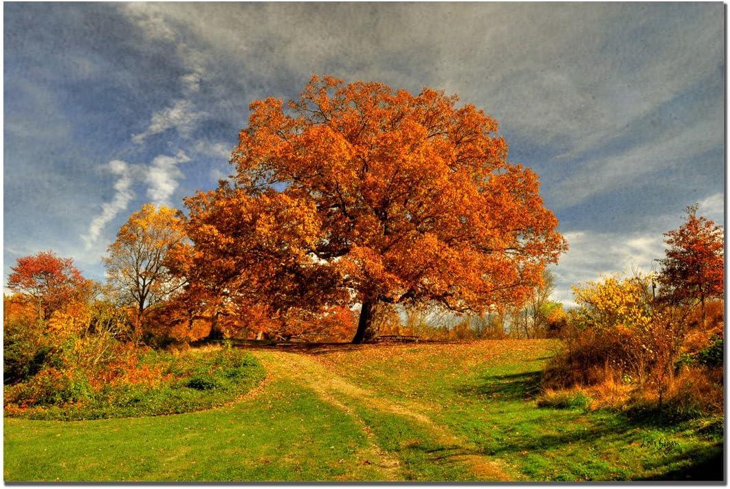 Autumn Landscape 18x24 Canvas Print with Orange Trees