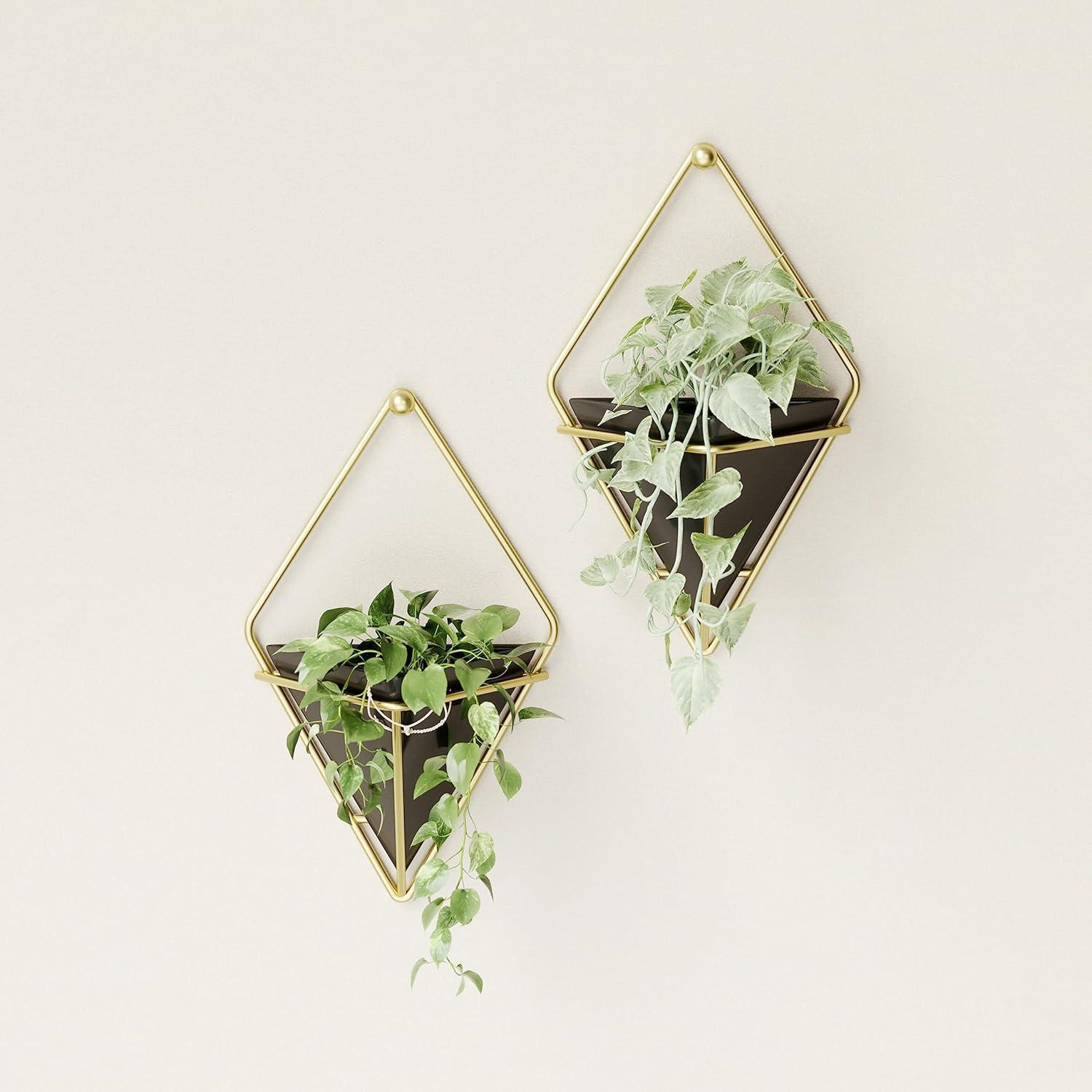 Trigg Wall Décor (Set of 2)