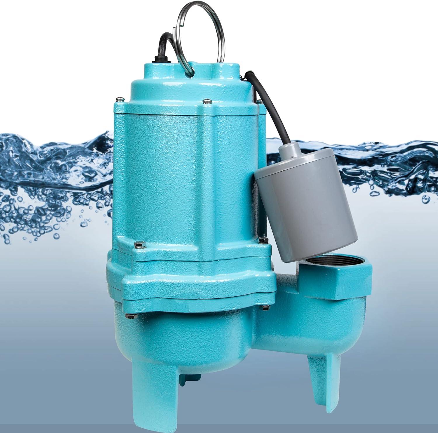 Blue Cast Iron Submersible Sewage Effluent Pump with Float Switch