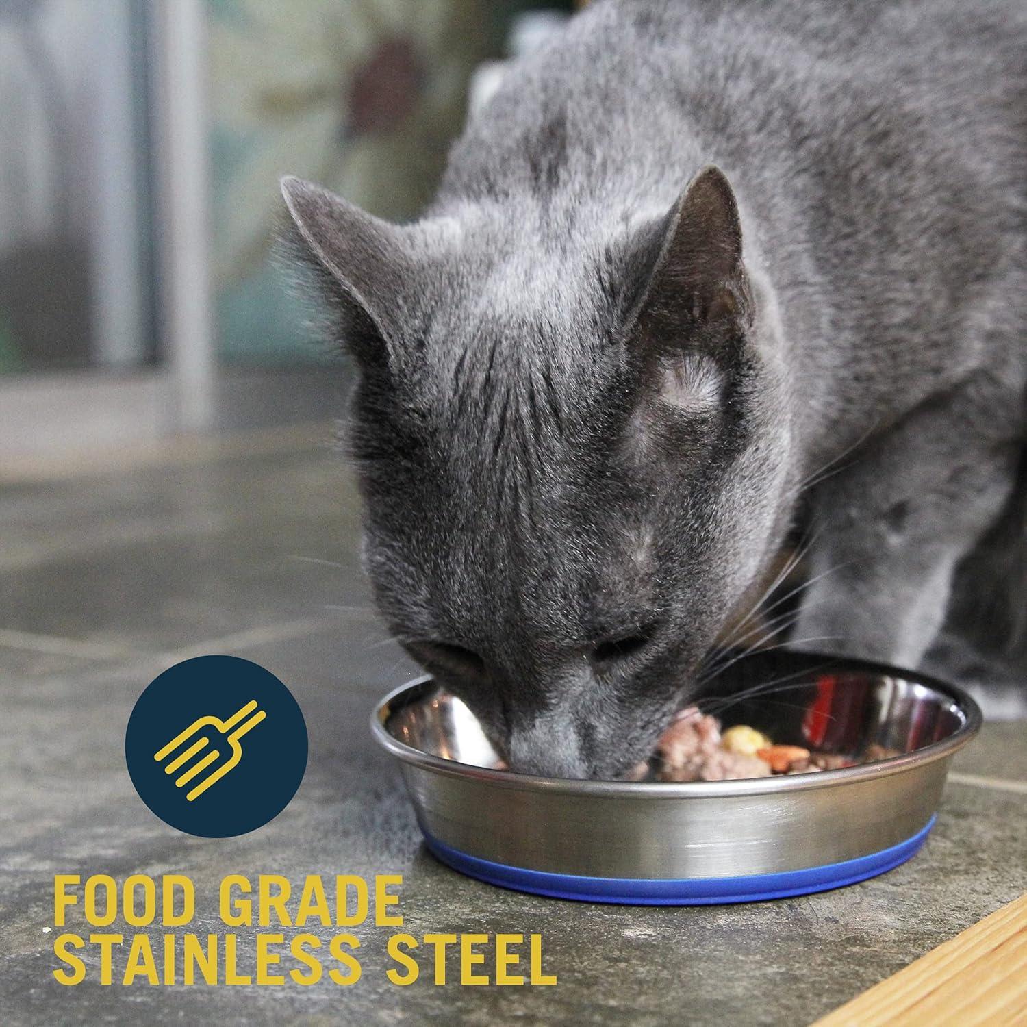 OurPets Premium Rubber Bonded Stainless Steel Cat Bowl Silver 1ea/12 oz