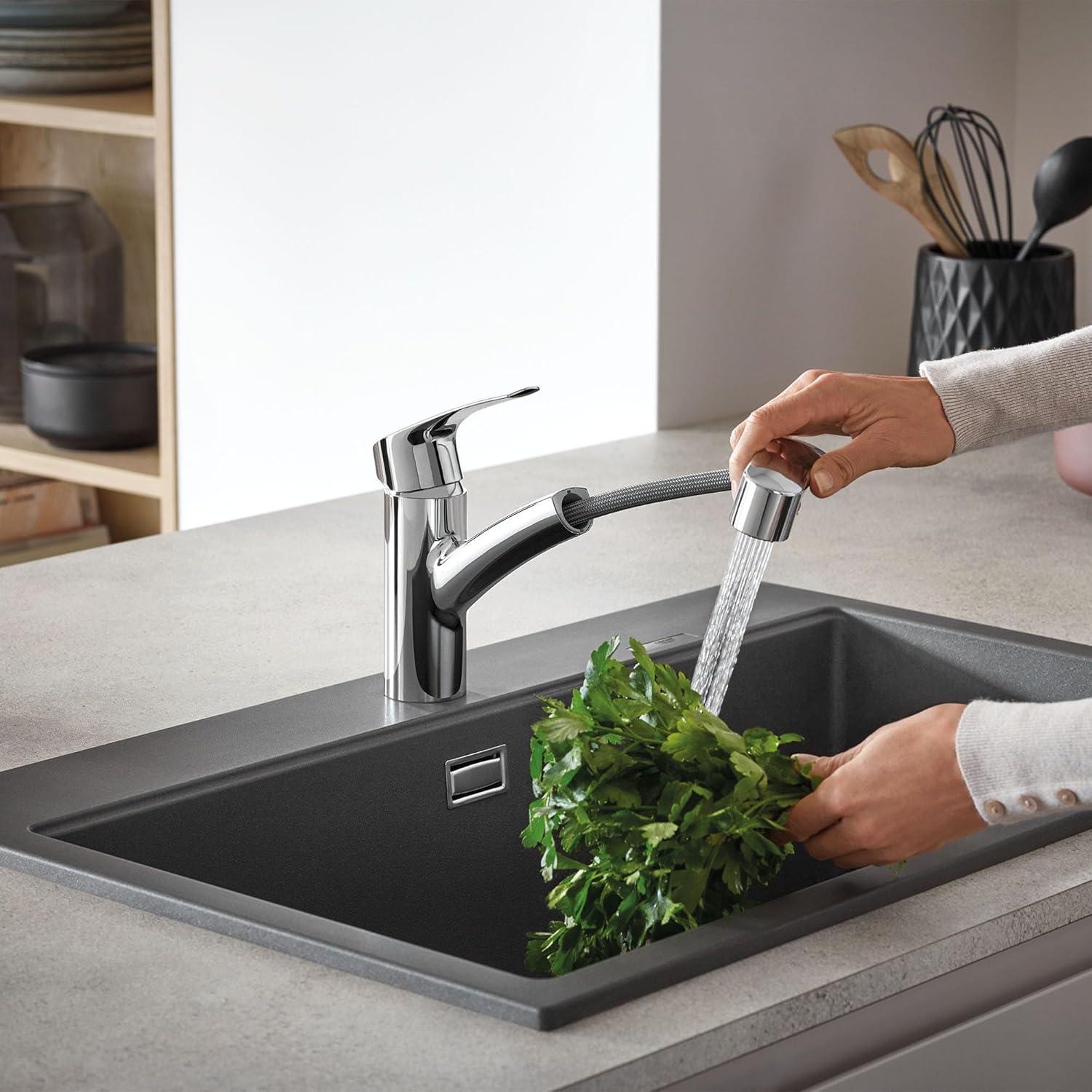 Eurosmart® Pull-Out Single-Handle Dual Spray Kitchen Faucet