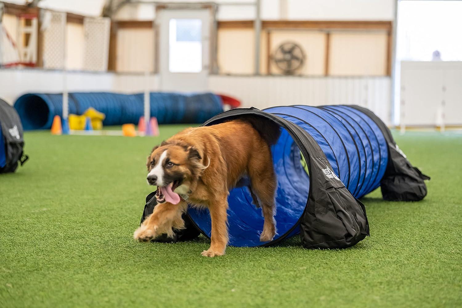 Blue and Black 10-Foot Portable Dog Agility Tunnel