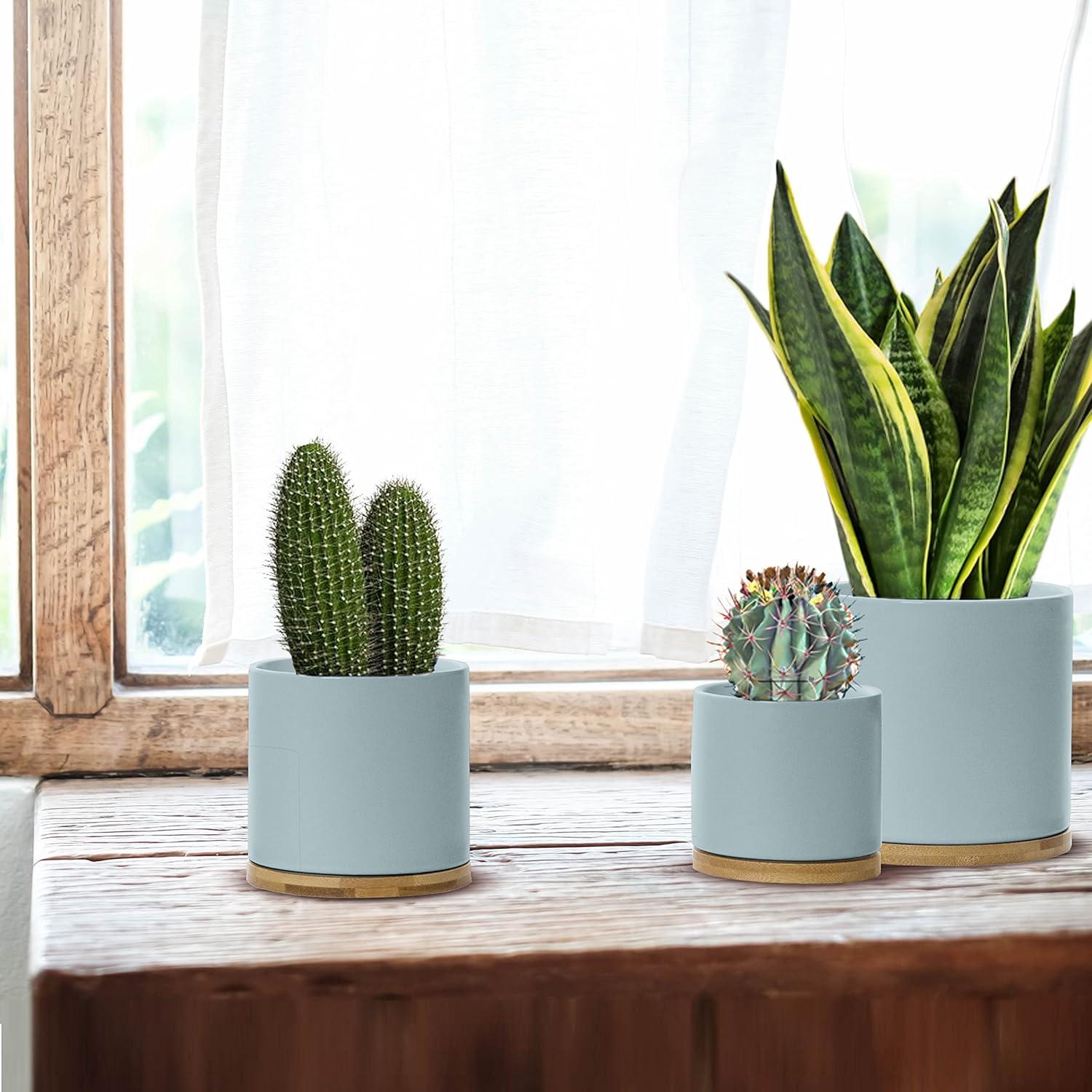 City & Rose Round Pastel Blue Ceramic Plant Pot Set with Bamboo Coasters indoor Planters 3 Count