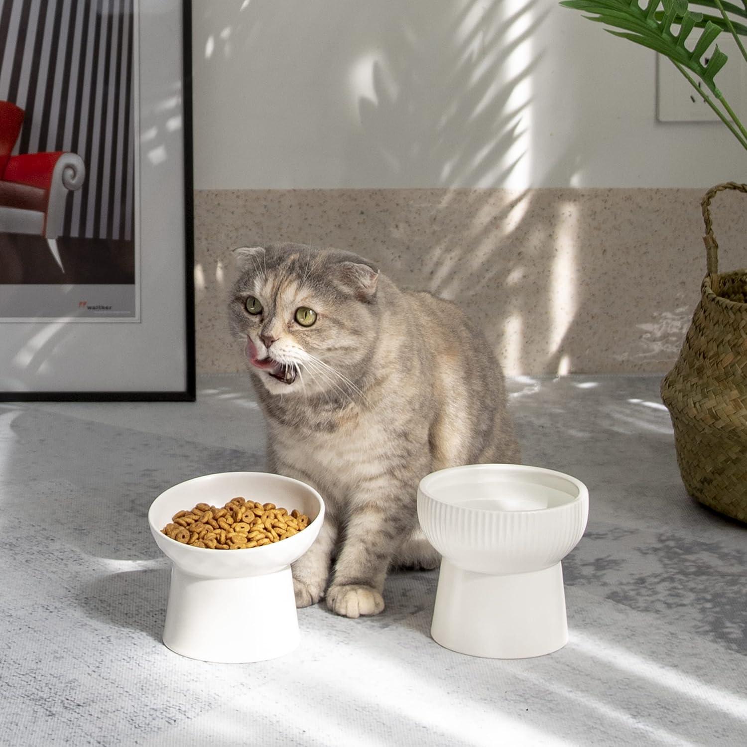 White Ceramic Elevated Cat Food and Water Bowl Set