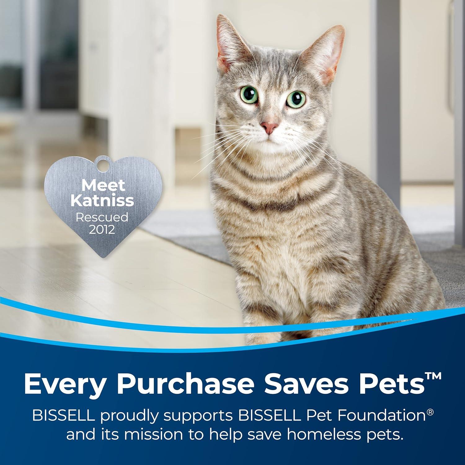 BISSELL Pet Stain & Odor + Antibacterial Carpet Formula - 1567A