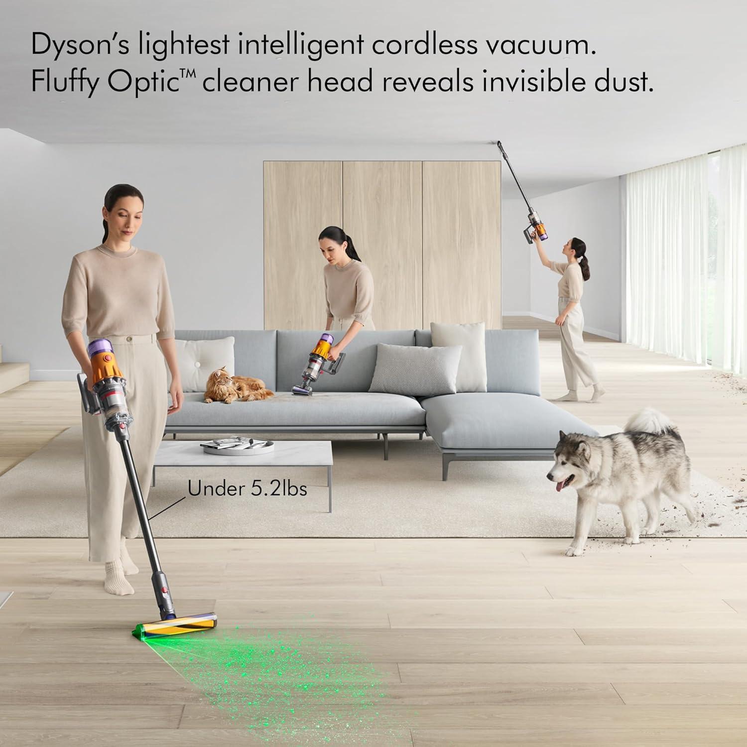 Dyson Cordless Vacuum Cleaner - De-tangling Motorbar