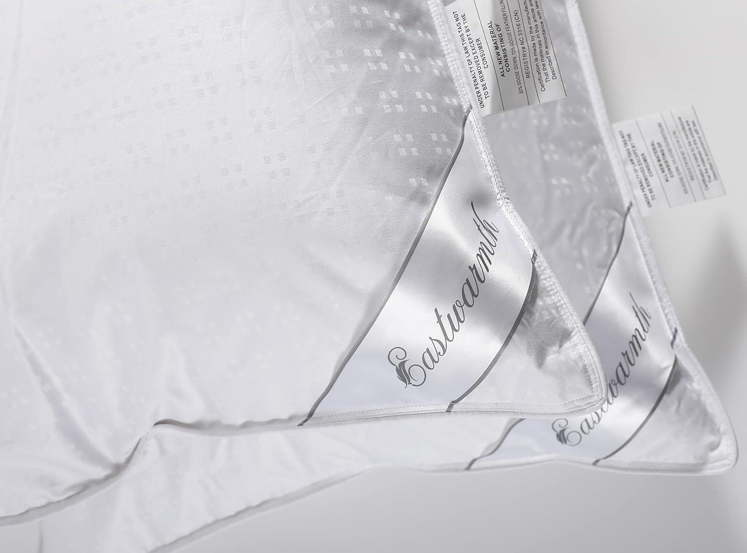 Natural Goose Down&Feather Pair Pillows Insert, Set of 2 Bedding Soft Pillows 100% Soft Cotton Queen 20x30in