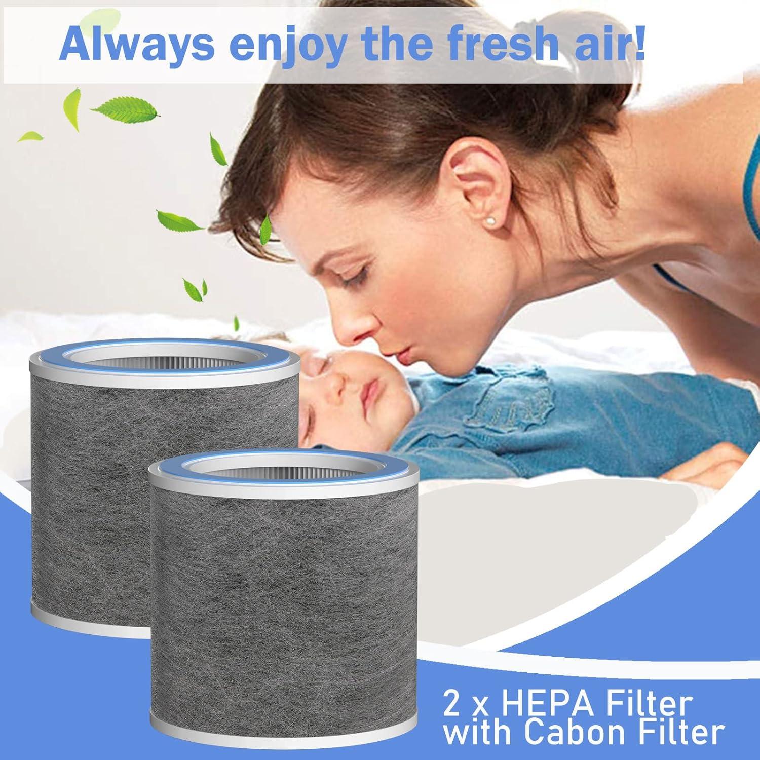 PUREBURG Washable H13 True HEPA Filters, 2 Pack