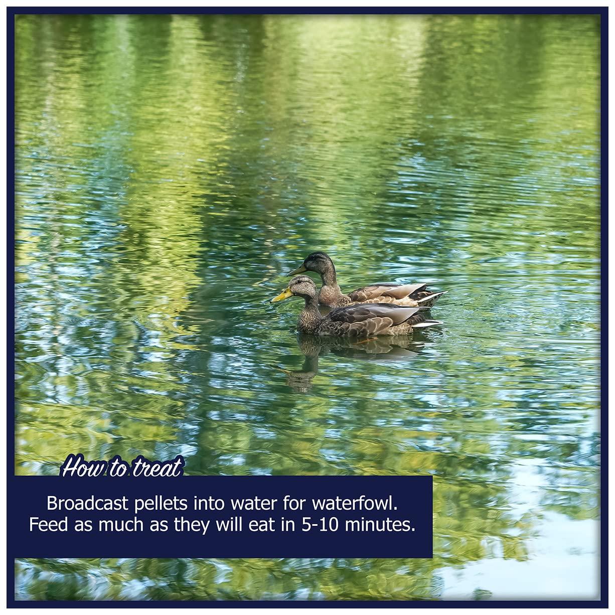 Natural Waterscapes Waterfowl Feed Open Water Diet 40 lb | for Feeding Ducks Geese Swans | Floating Pellets with Niacin for Ducks