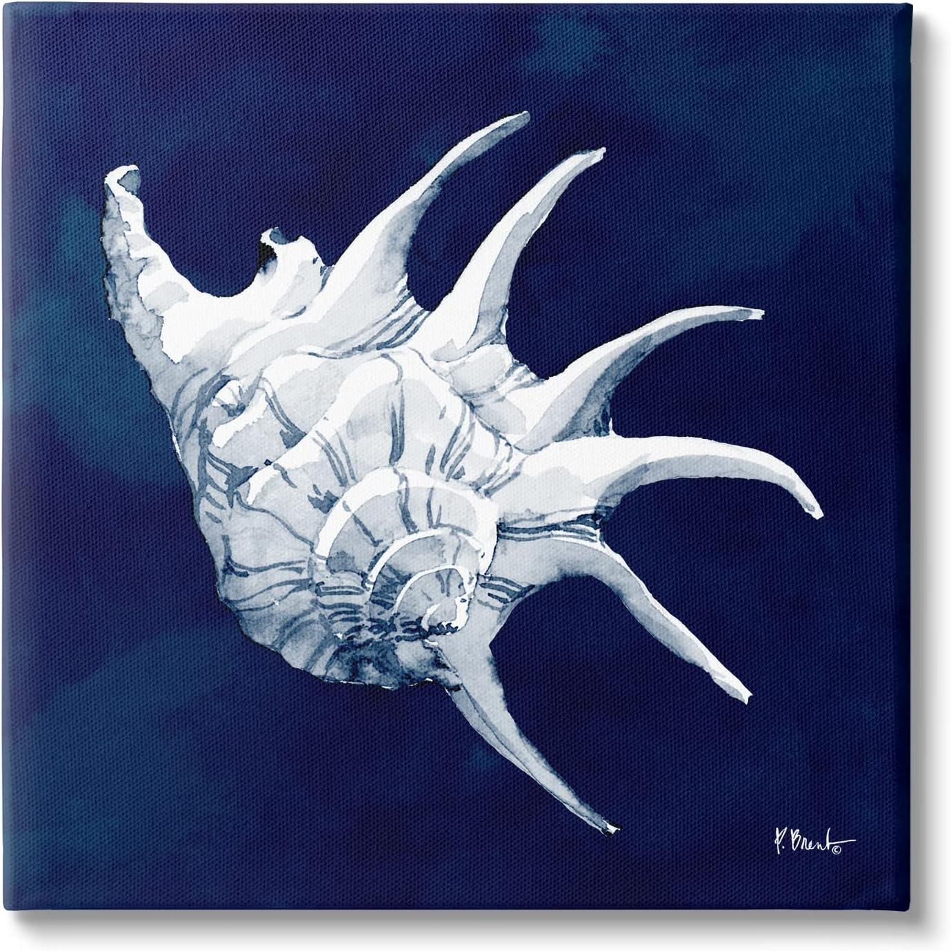 Stupell Industries Cyanotype Shells Traditional Conch Graphic Art Gallery Wrapped Canvas Print Wall Art, Design by Paul Brent