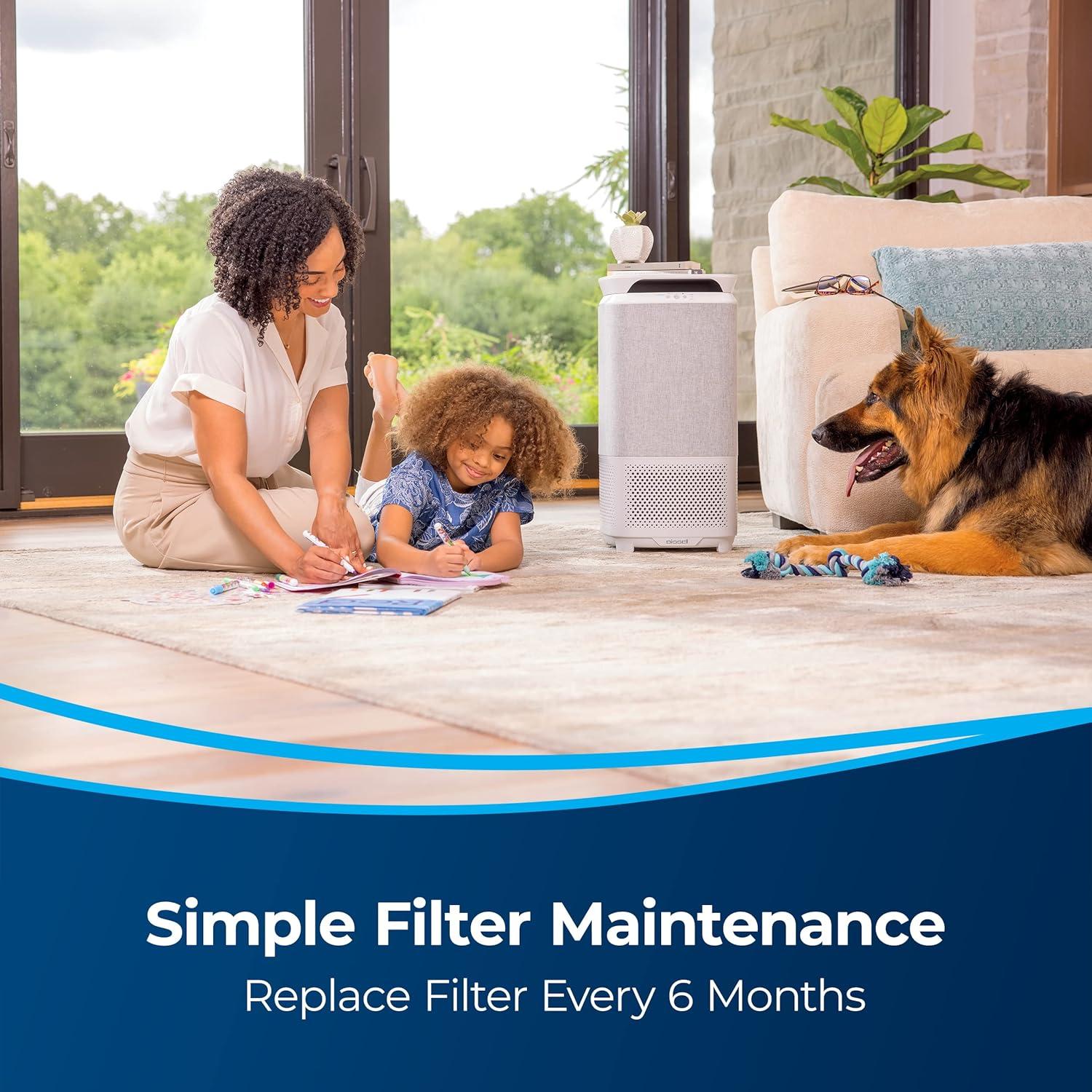 BISSELL BISSELL air280 + air280 Max Air Purifier Filter
