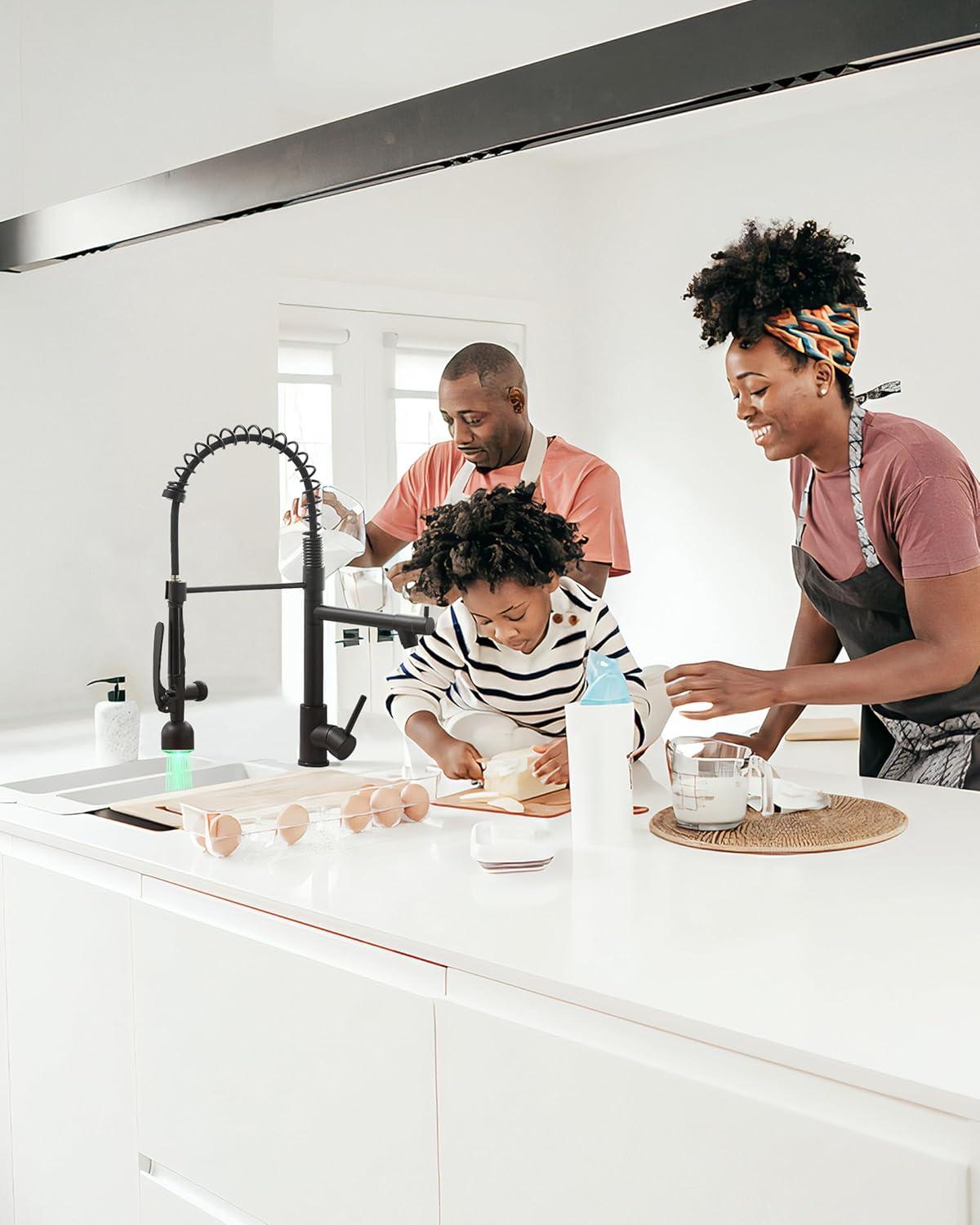 Matte Black Industrial Pull-Down Kitchen Faucet with Sprayer