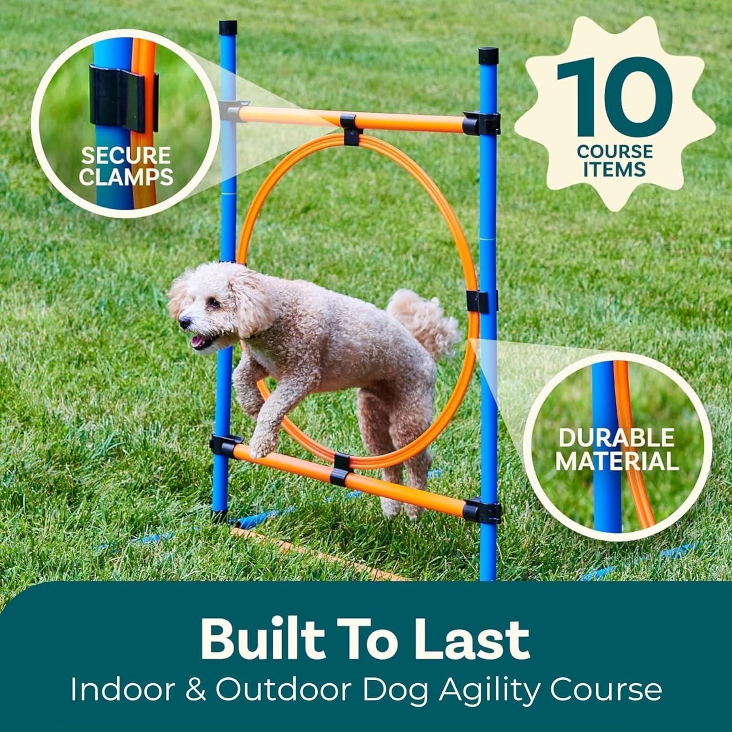 PetCove Blue and Orange Dog Agility Training Set