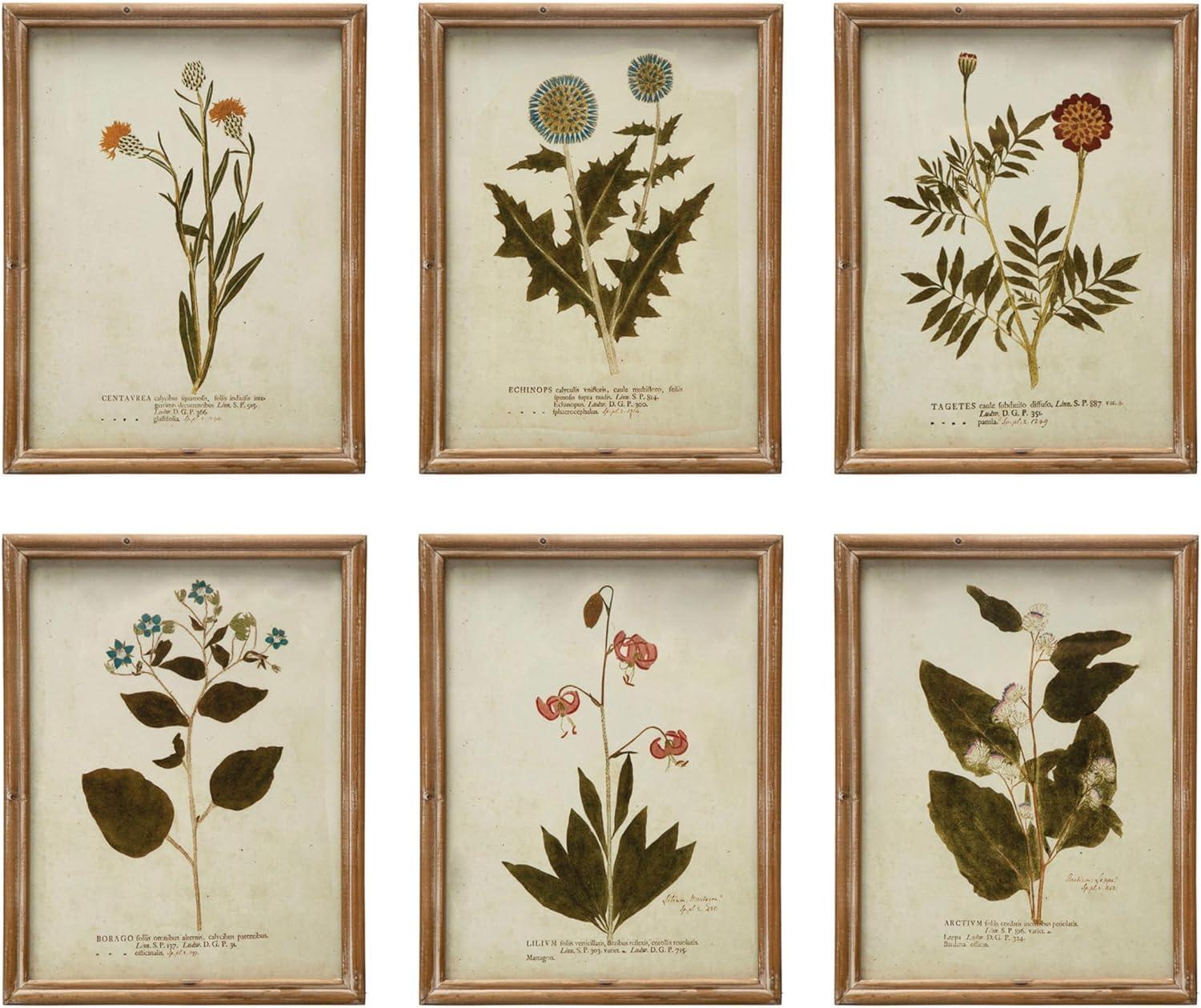 Vintage Botanical Print Set in Wood Frames, 10" x 13"