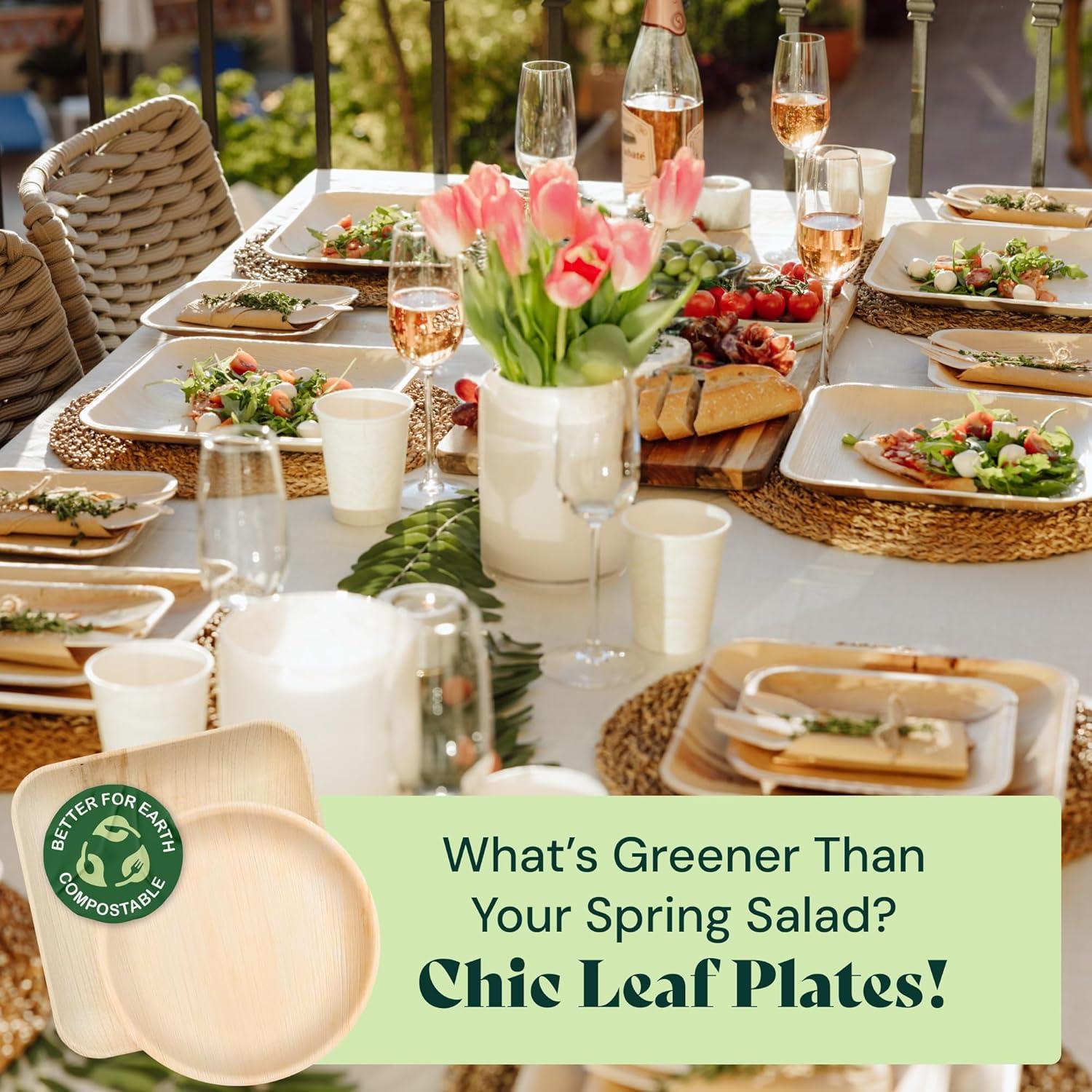 Chic Leaf, Compostable & Disposable Plates, Round, Natural Color, Palm Leaf, 48 Pc, 10” & 6”