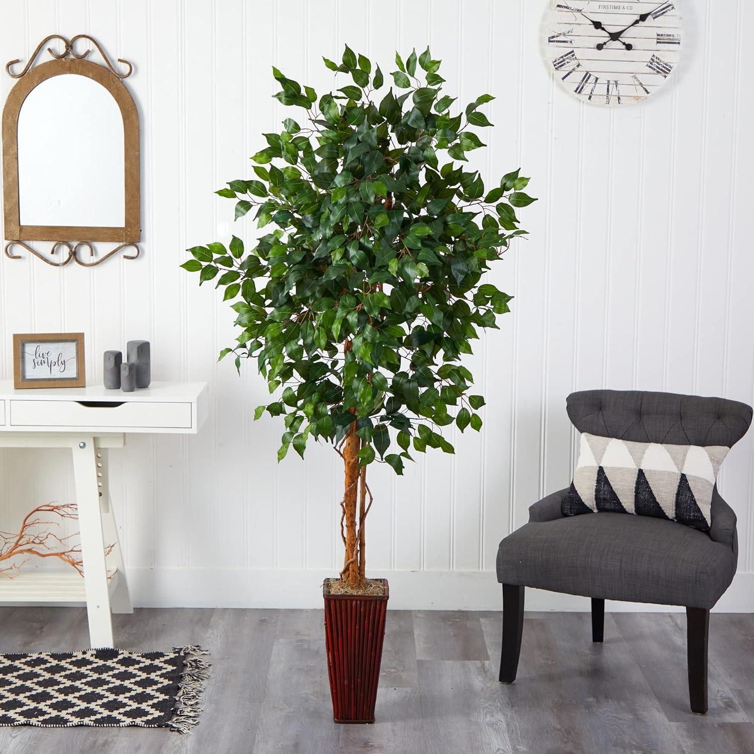 Lush 6' Ficus Floor Plant in Elegant Bamboo Planter