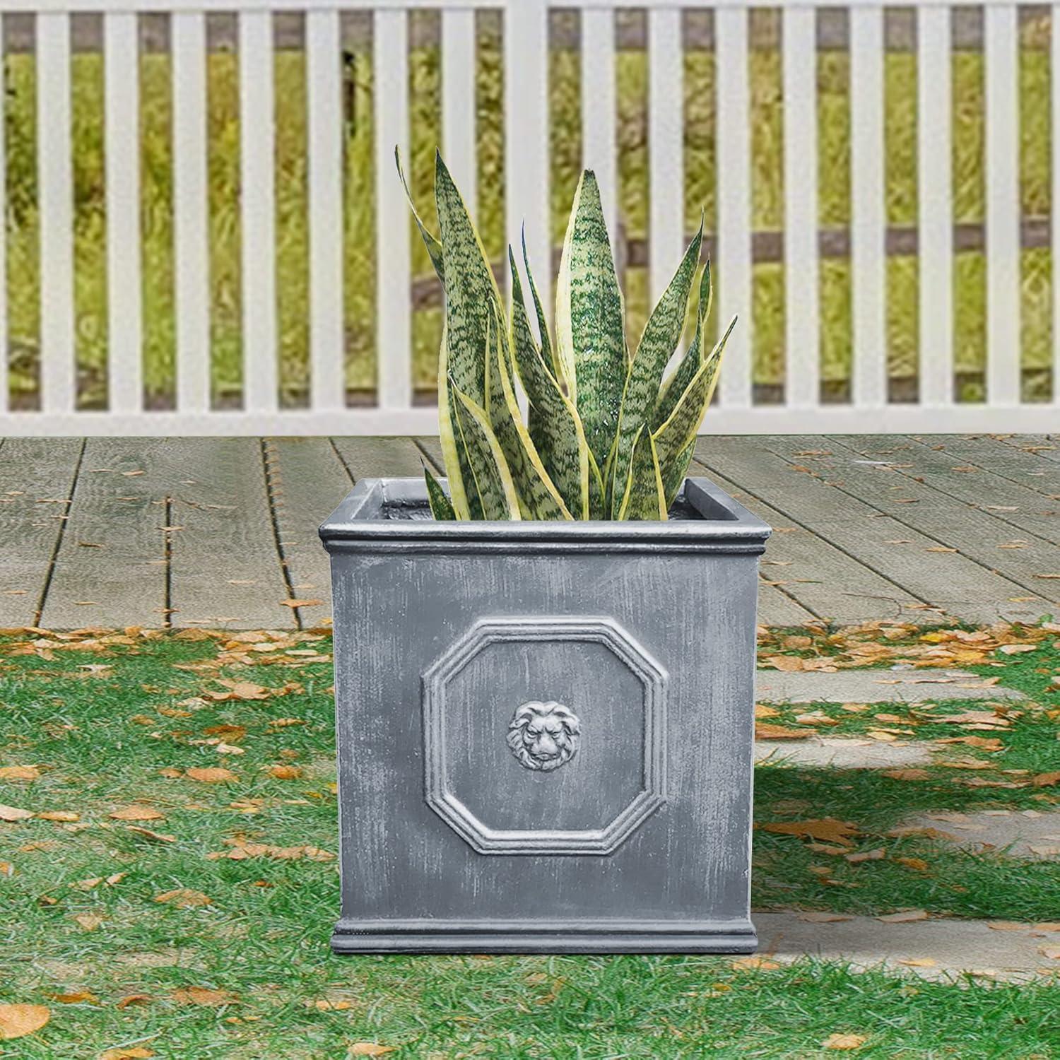 12.6" Kante Lightweight Classic Square English Style Lion Head Concrete Planter Antique Gray - Rosemead Home & Garden, Inc.