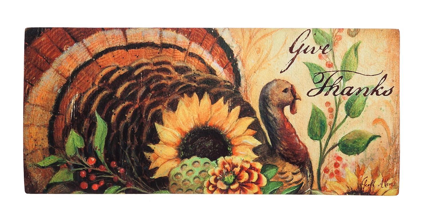 Evergreen Enterprises, Inc Sassafras Fall Holiday Set of 5 20"x10" Door Mats with Rubber Display Frame, Collection #2