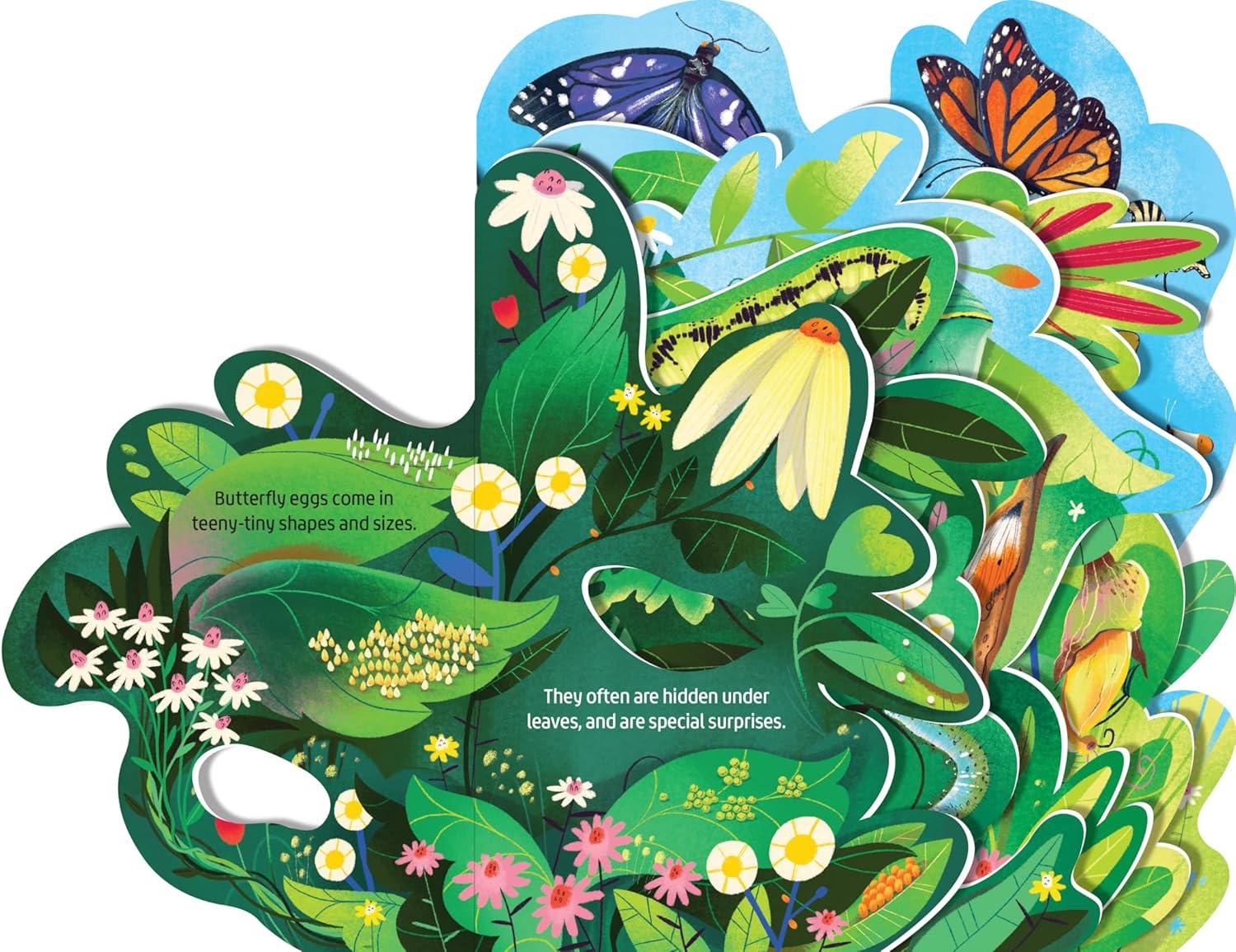 Beautiful Butterflies - (Layered View) (Board Book)