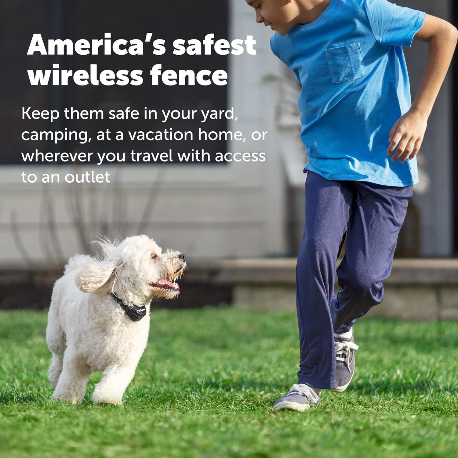 PetSafe® Stay & Play® Wireless Fence Replaceable Battery Receiver Collar