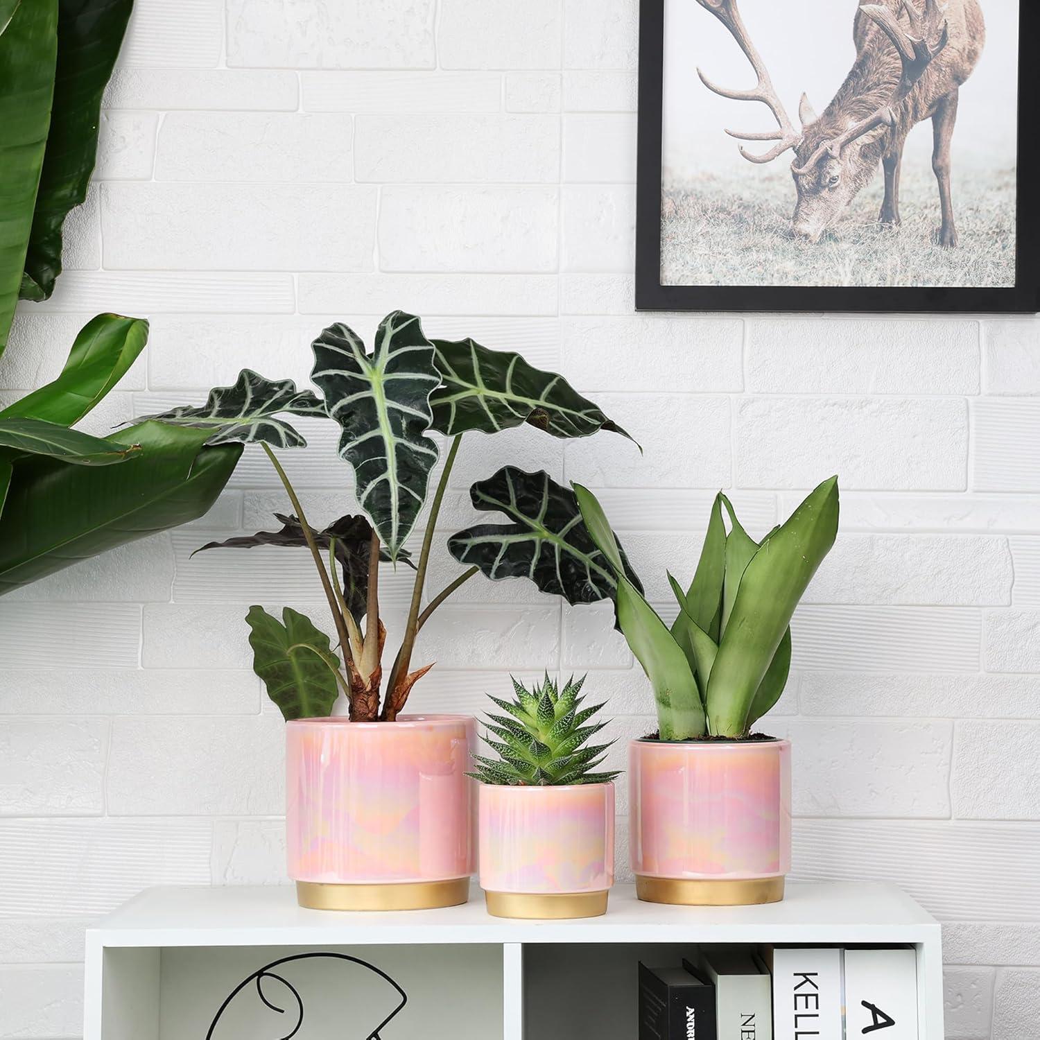 Set of 3 Pink Ceramic Bohemian Planters with Drainage