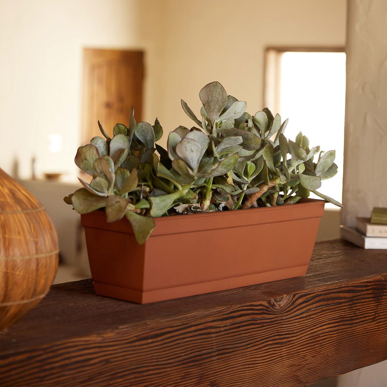 Bloem 24-in Wide Dura Cotta Resin Window Box Planter - Terra Cotta Color