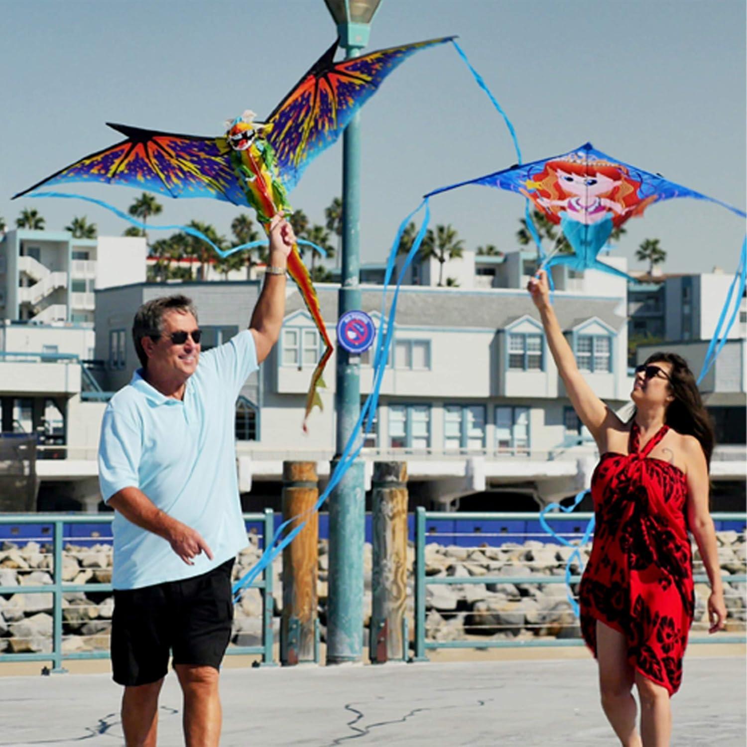 X-Kites WindNSun SeaLife Turtle Nylon Kite, 40