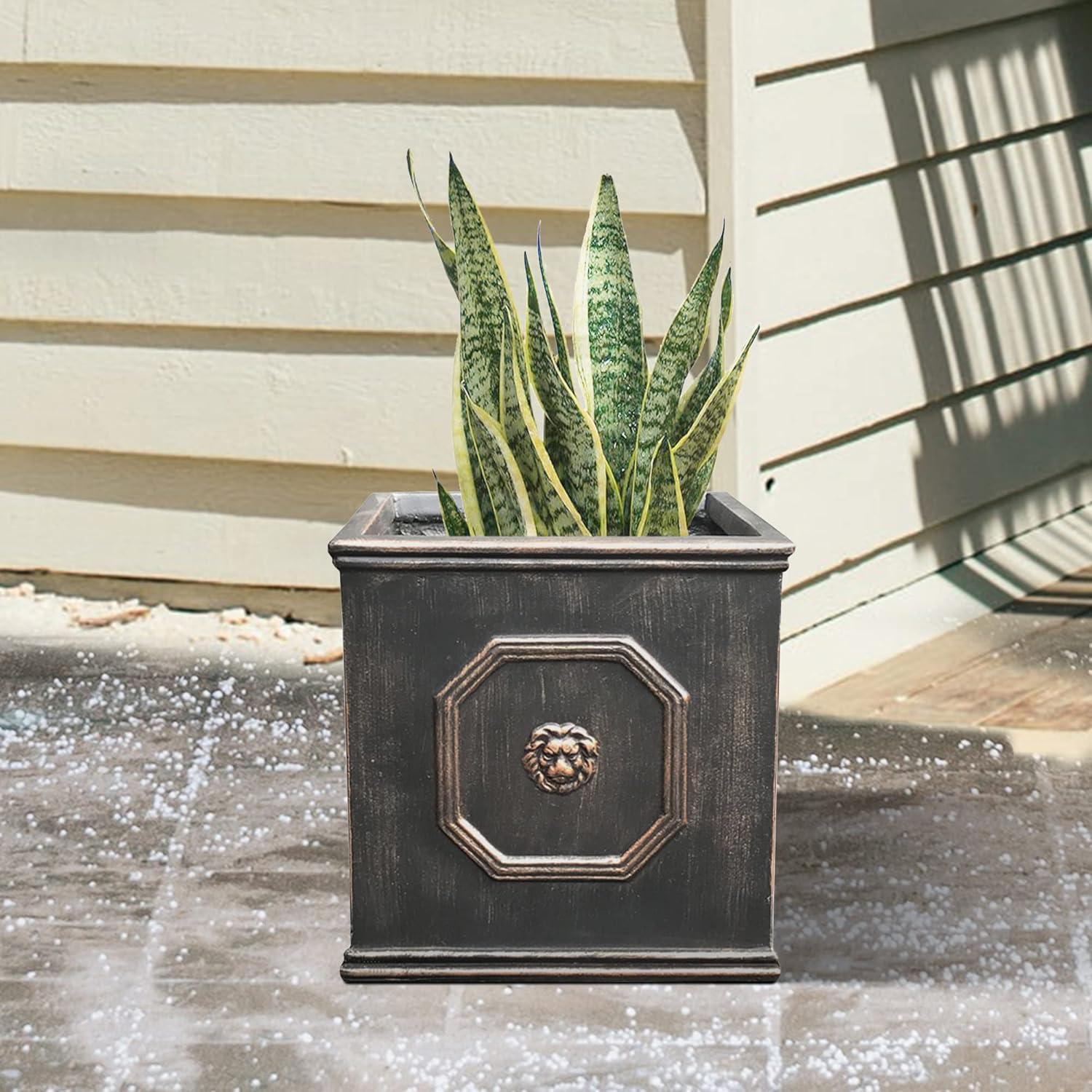 Rosemead Home & Garden, Inc. 13" Wide Kante Lightweight Classic Square English Style Lion Head Concrete Outdoor Planter Pot Oil Rubbed Bronze