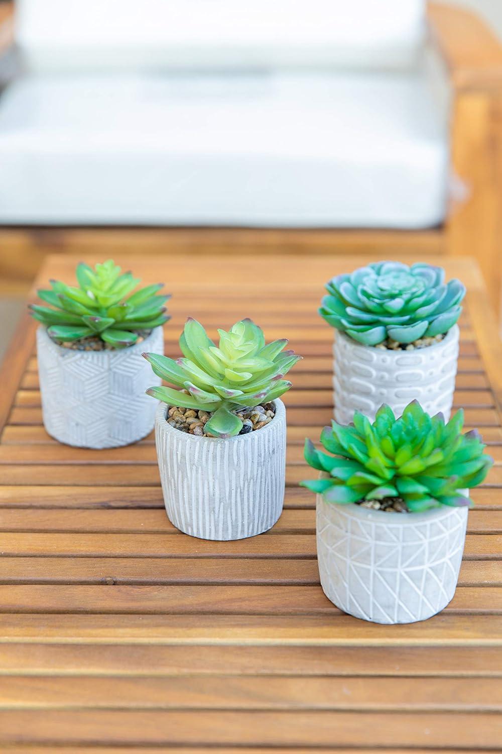 Valentine's Day Faux Succulent Duo in Artisan Cement Pots