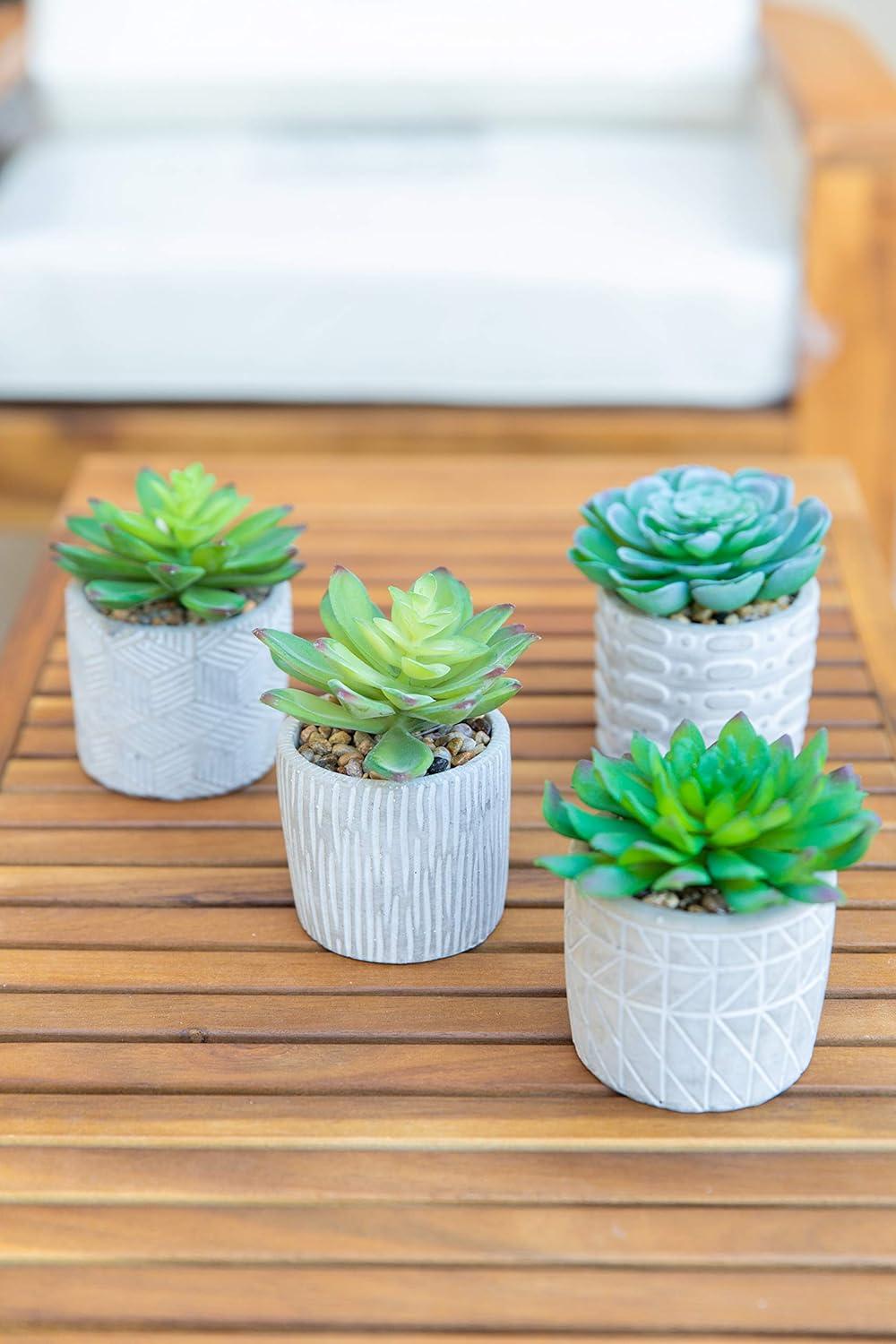 Flora Bunda Mid Century Artificial Plants Cactus Set of 2 Fake Succulent in 3" Cement Diamond line Pot Grey Planter, Potted Plants, for Home Office Decorations C65