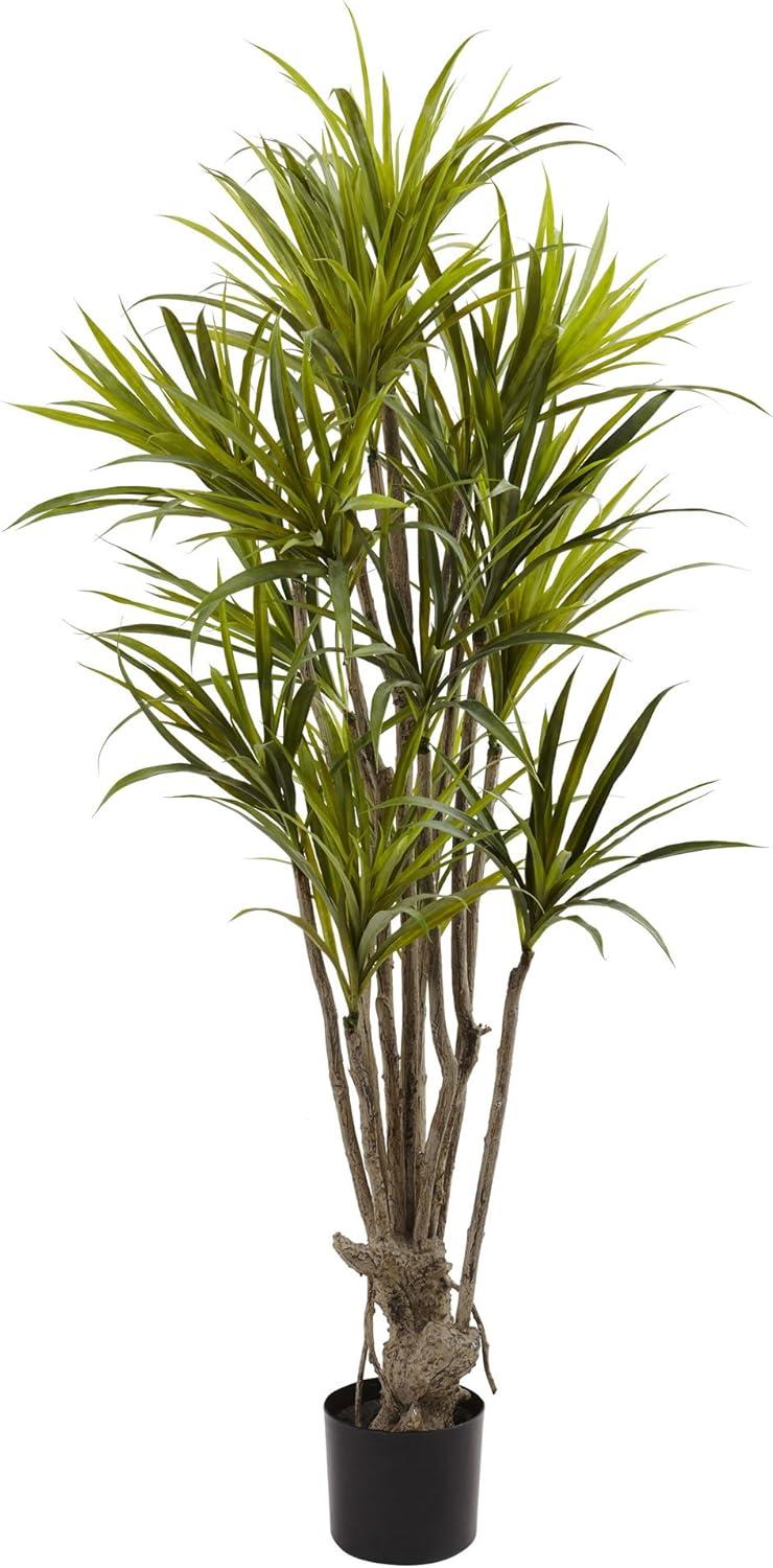 Tropical Dracaena Silk Tree in Plastic Pot - 63" High