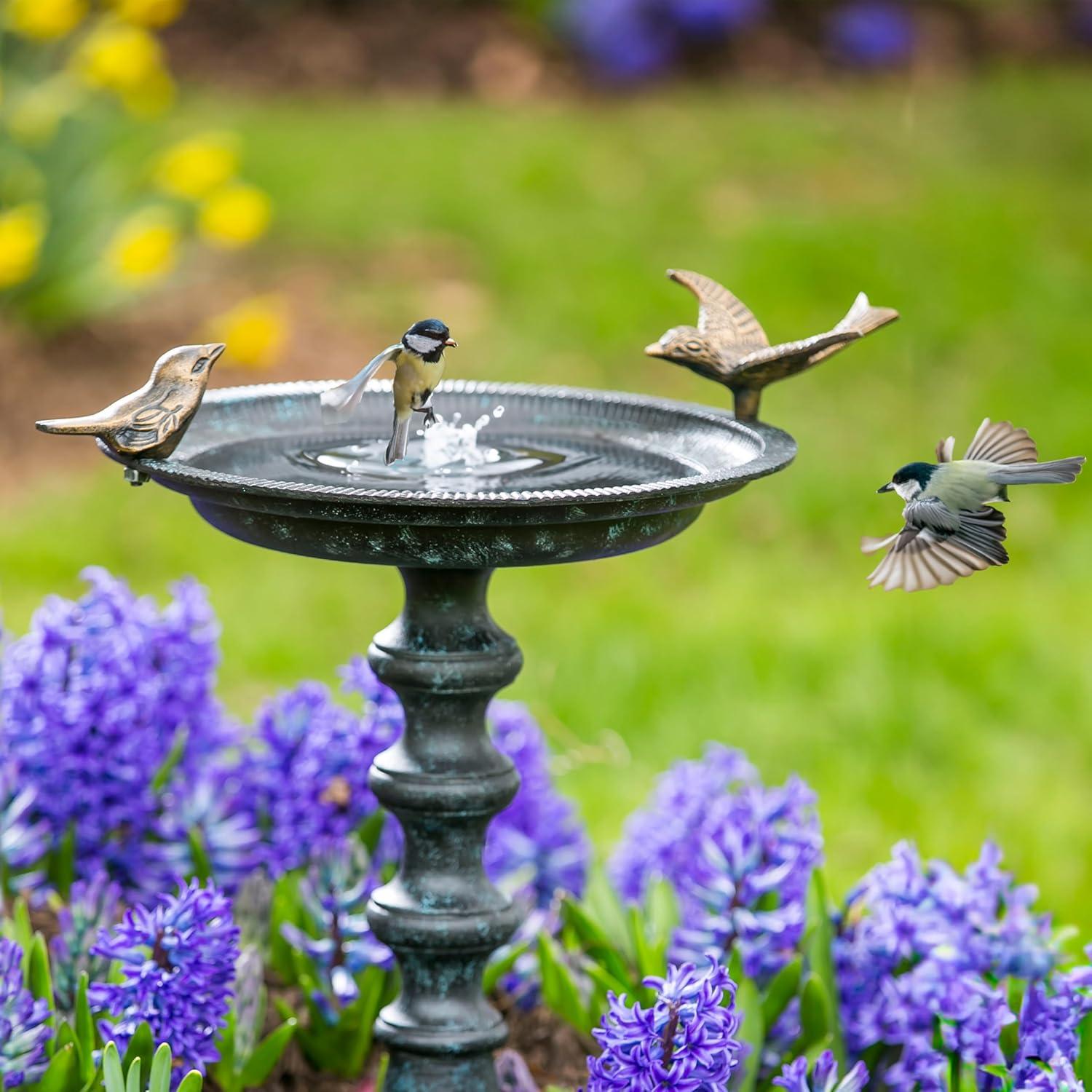 Evergreen Hummingbird Bird Baths for Outdoors Heavy Duty | Metal Bird Bath Bowl with Stand | Ground Standing Bird bath and Feeder for Garden Yard Deck