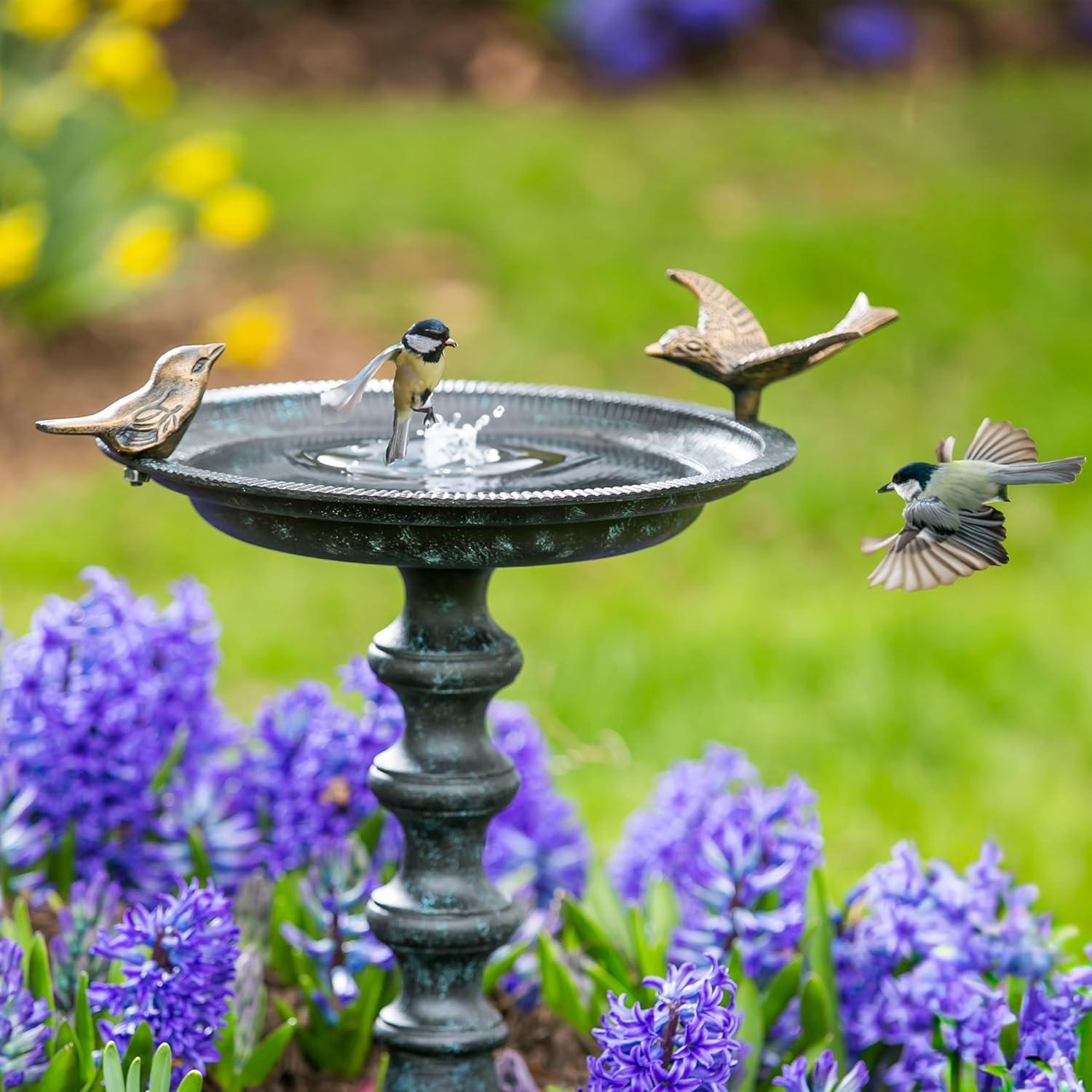 Evergreen Hummingbird Bird Baths for Outdoors Heavy Duty | Metal Bird Bath Bowl with Stand | Ground Standing Bird Bath and Feeder for Garden Yard Deck