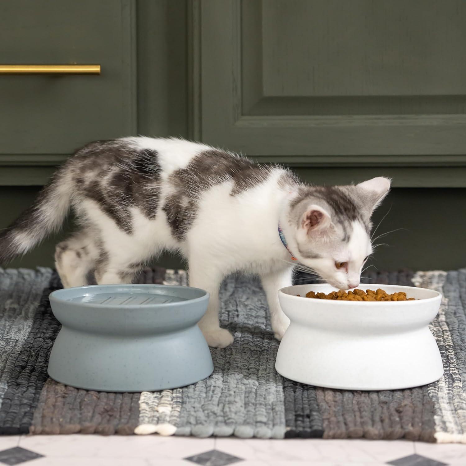 Small Gray and White Elevated Cat Bowls Set