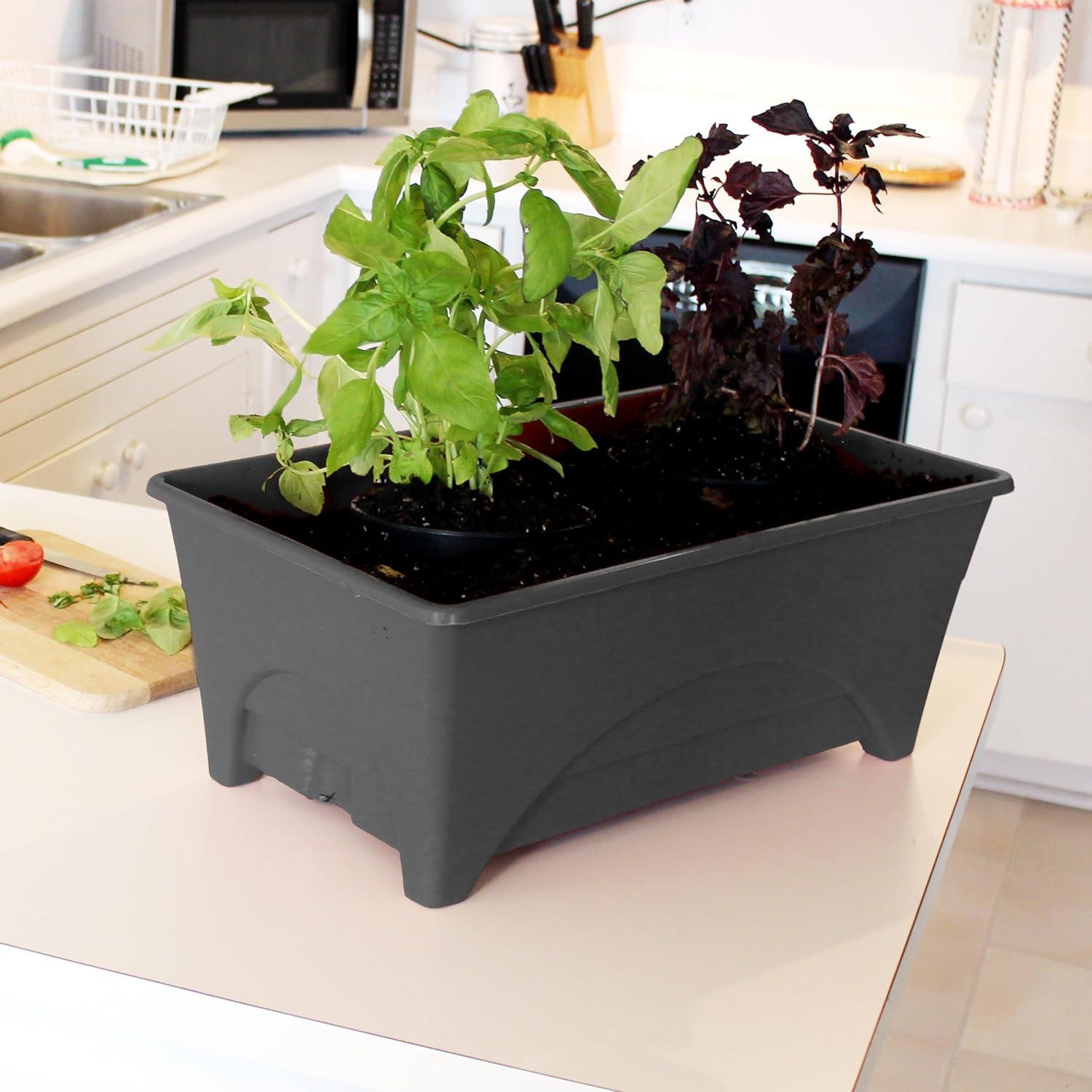 Emsco Group Start Pickin' 13" x 20" x 10" Brown Polyethylene Planter Boxes with Self-Watering (2 Piece)