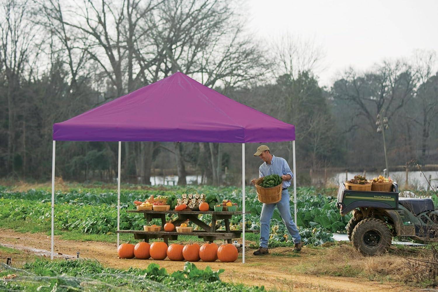 ShelterLogic 12 Ft. W x 12 Ft. D Metal Pop-Up Canopy