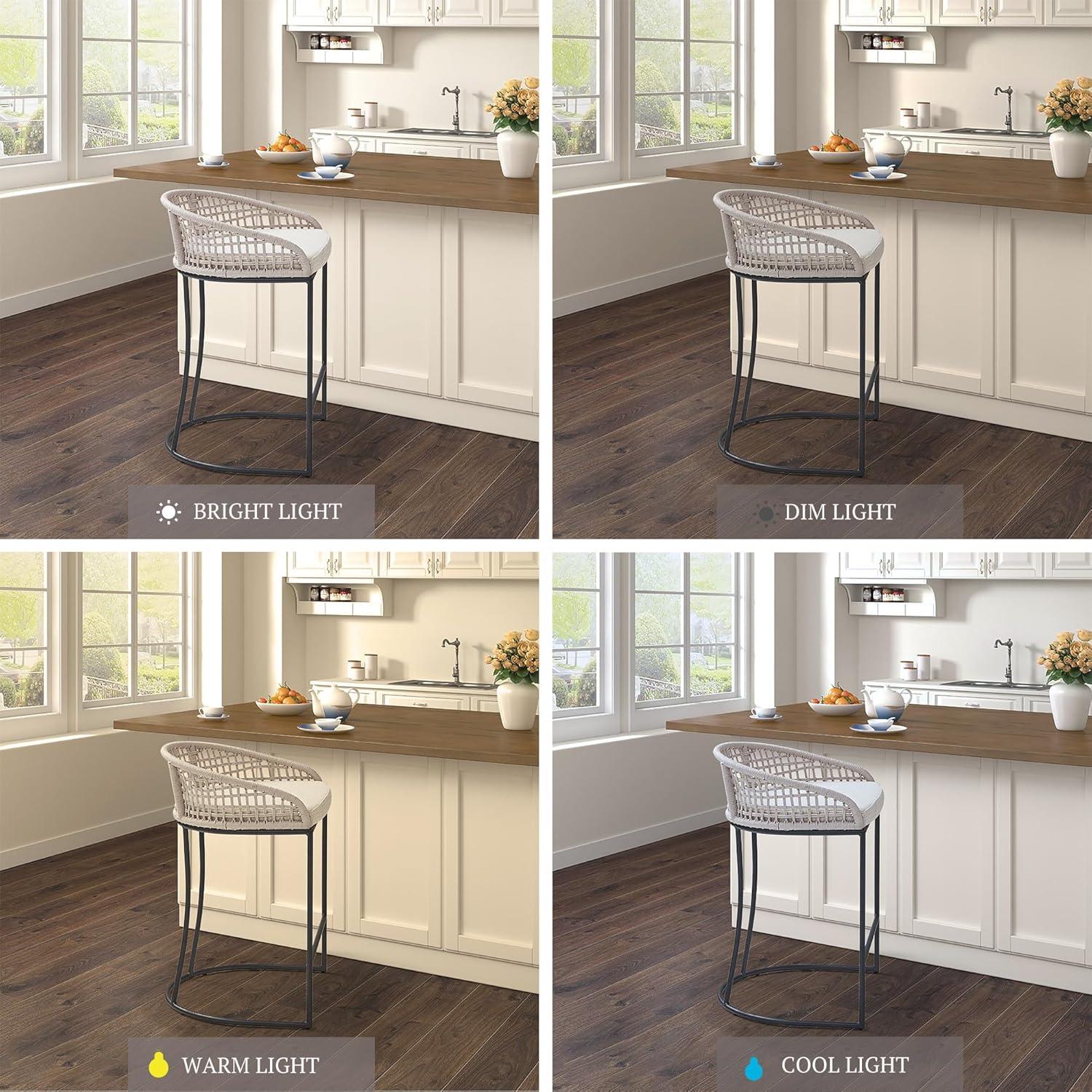 25" Rosita Woven Counter Height Barstool Natural - Madison Park: Chic Coastal, Metal Base