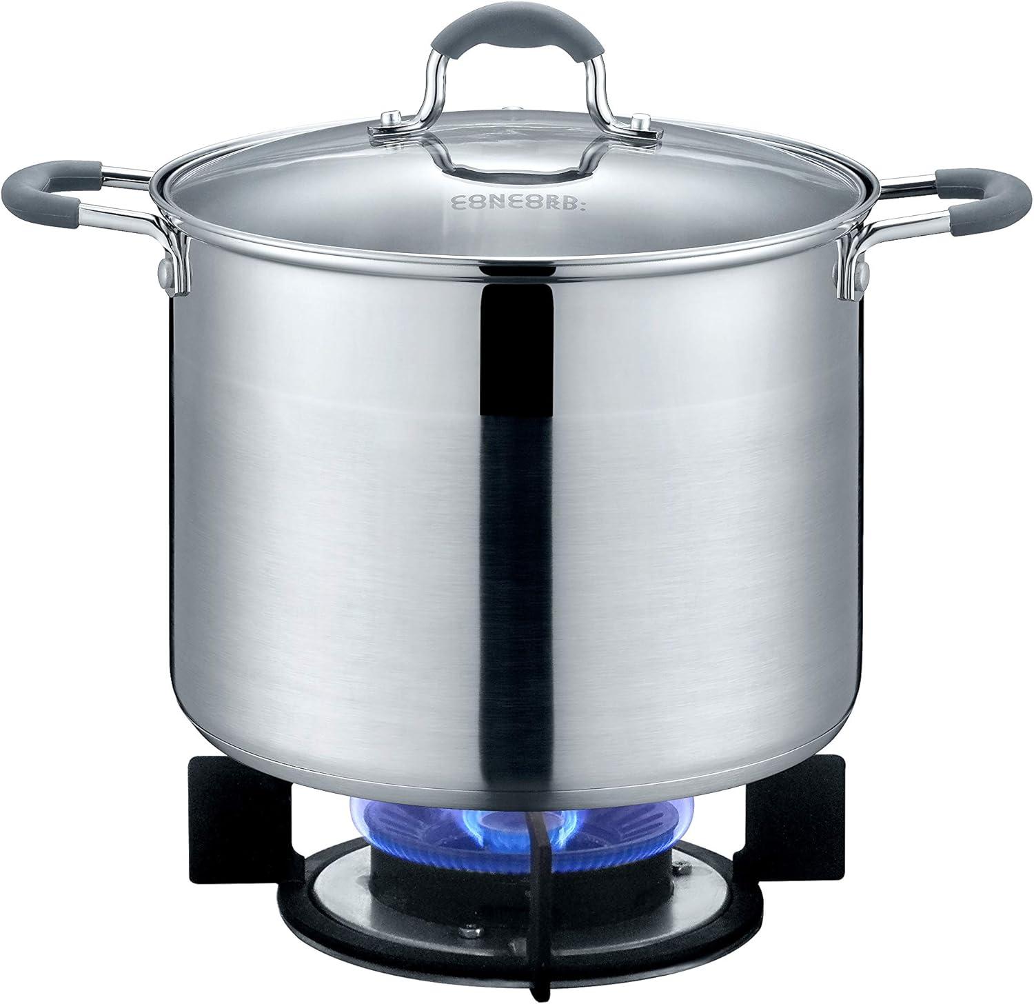 10 QT Stainless Steel Stock Pot with Glass Lid and Silicone Handles