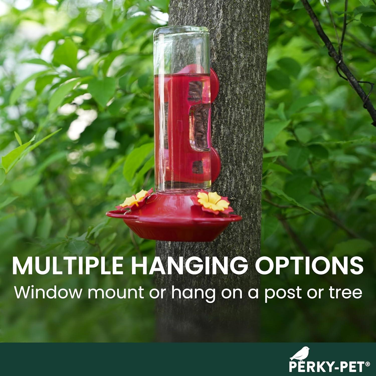 Perky-Pet 455-2 Mounted 445-2 Glass Window Hummingbird Feeder, Red – 14 oz