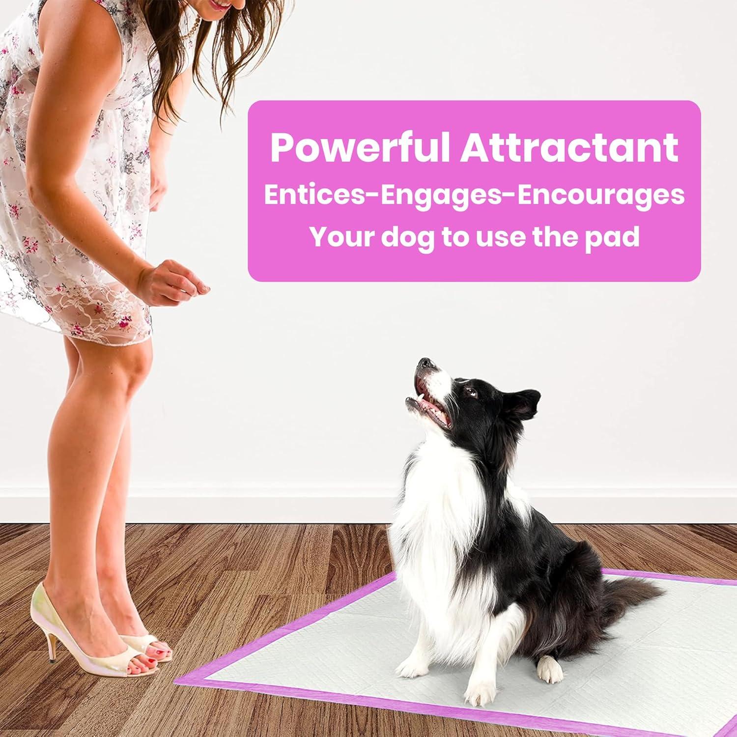 FPN Pink Puppy Pee Pads, 13X18 in 100Pack, Pet Toilet Training Pad Ultra Absorbent, Leak-Proof  for Puppies, Dogs, & Small Pets 5-Layer Protection