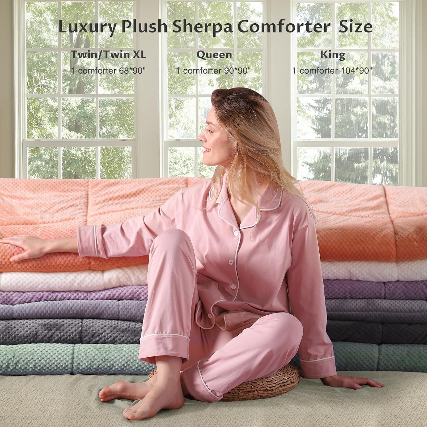 Kasentex Microfiber Reversible Comforter Super Ultra Soft Luxury Plush Sherpa, Machine Washable